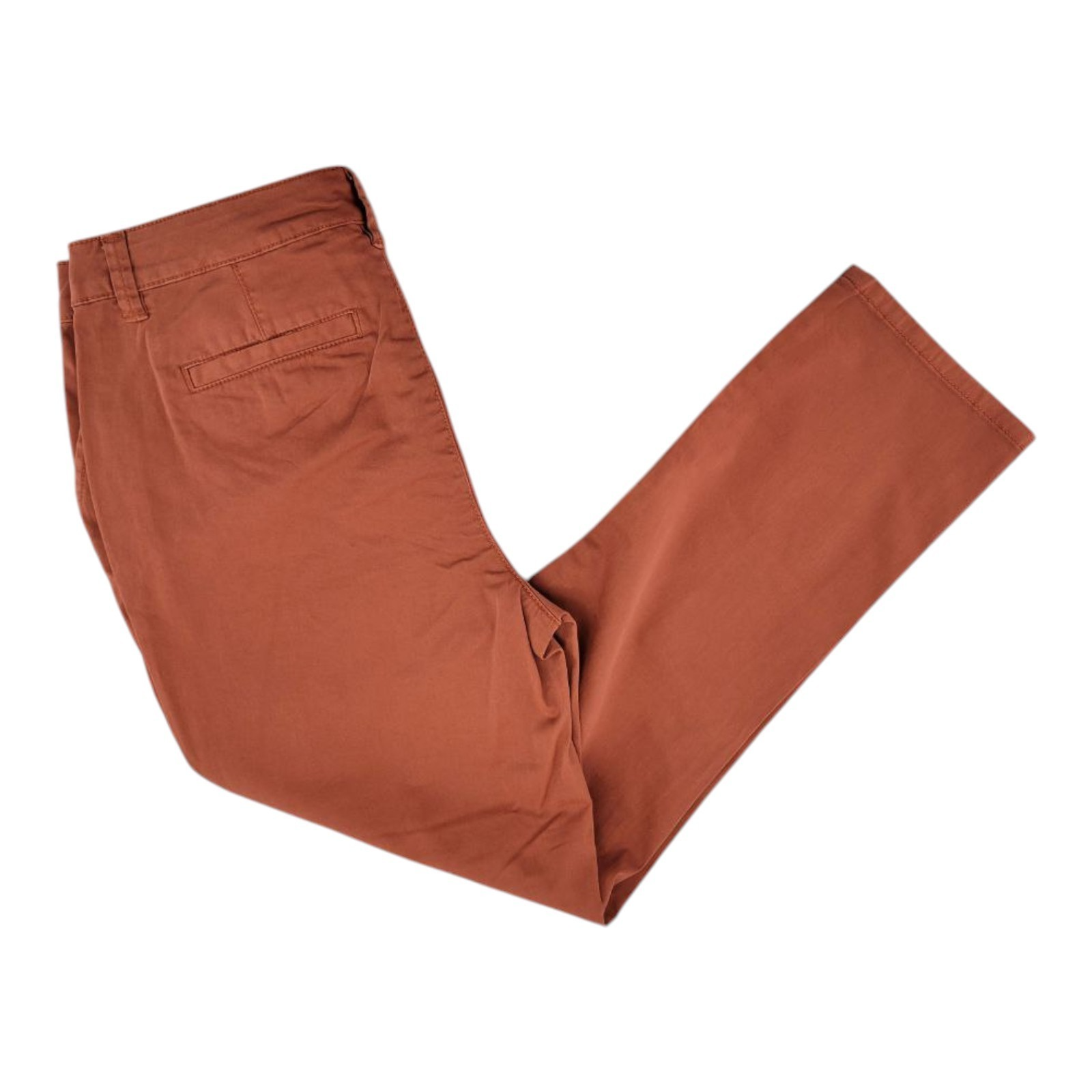 Style & Co Women's Ankle Pants Size 6 Rust Mid Rise Stretch Cotton Casual