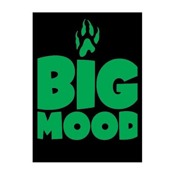 Legion Supplies 50 Count Standard Card Sleeves Deck Protector - Big Mood