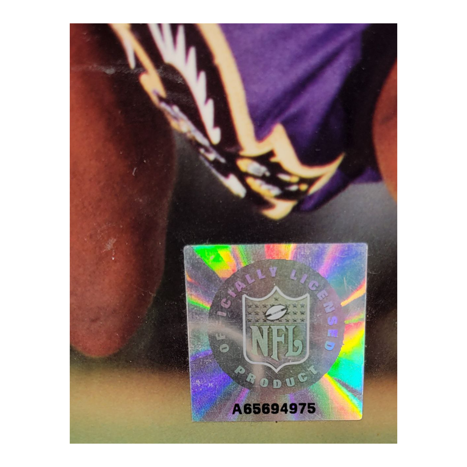 NFL Tampa Bay Buccaneers Football #15 Jacquez Green Photo