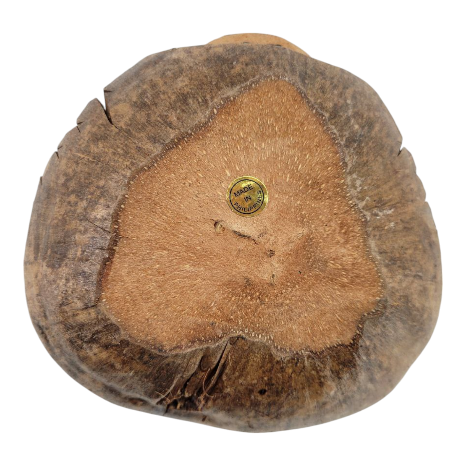 Vintage Hand Carved Coconut Shell Souvenir Pirate Coin Bank