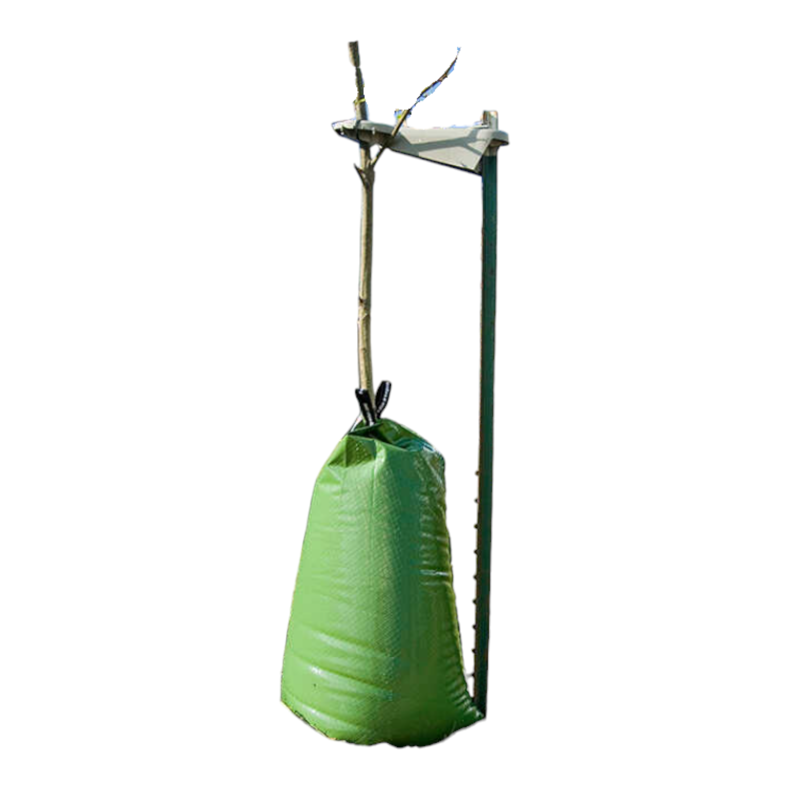 Treegator 20 Gal Tree Watering Bag Slow Drip Irrigation USA Made