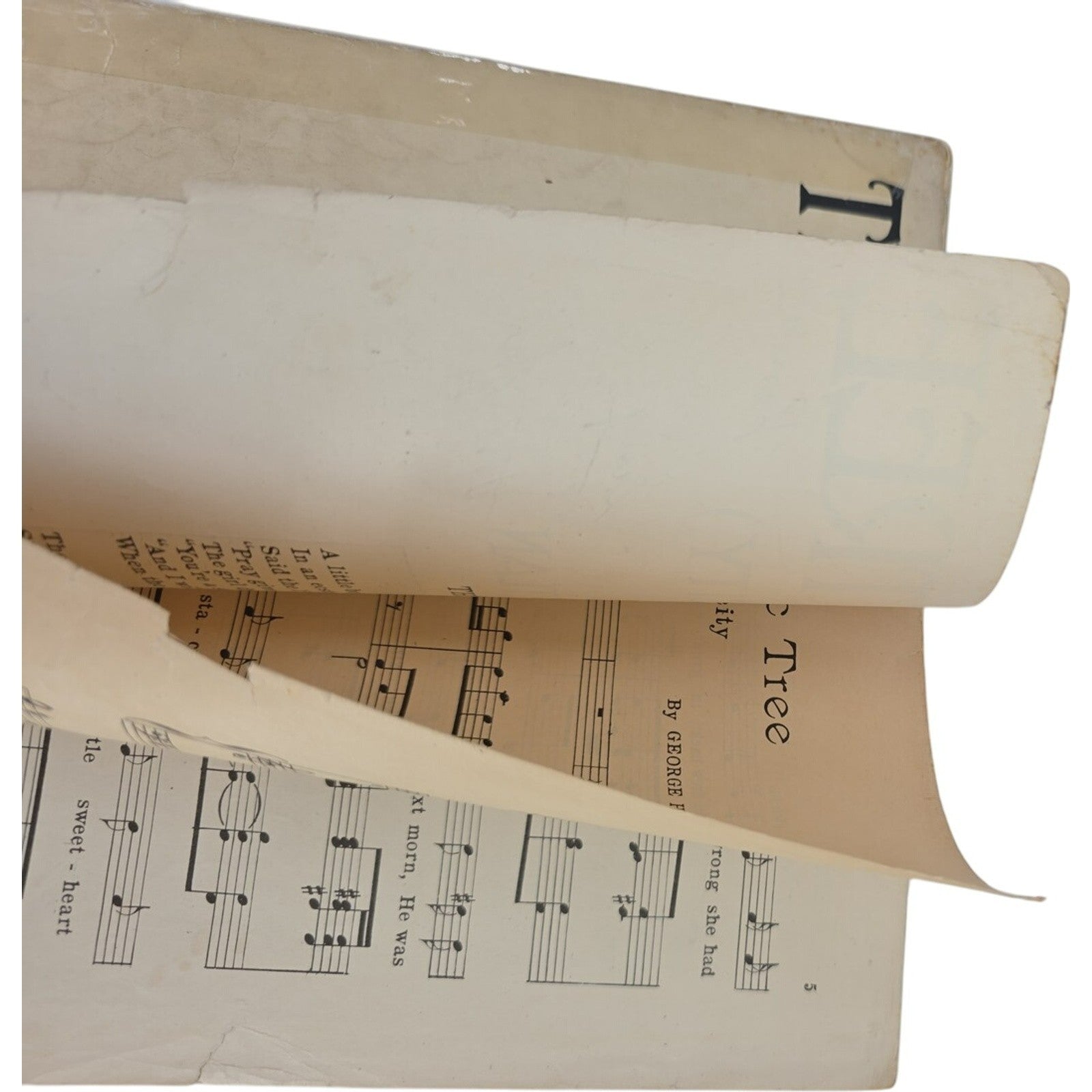 Vintage 1920 Sheet Music The Lilac Tree Perspicacity by George H. Gartlan