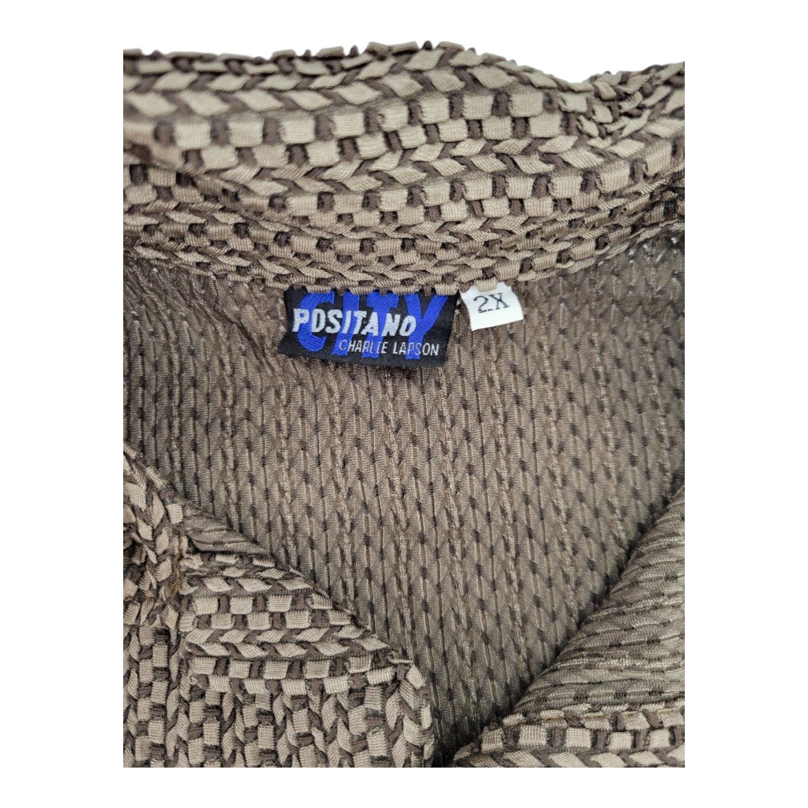 Positano by Charlie Lapson City Collection Brown Retro Textured Button Shirt 2X
