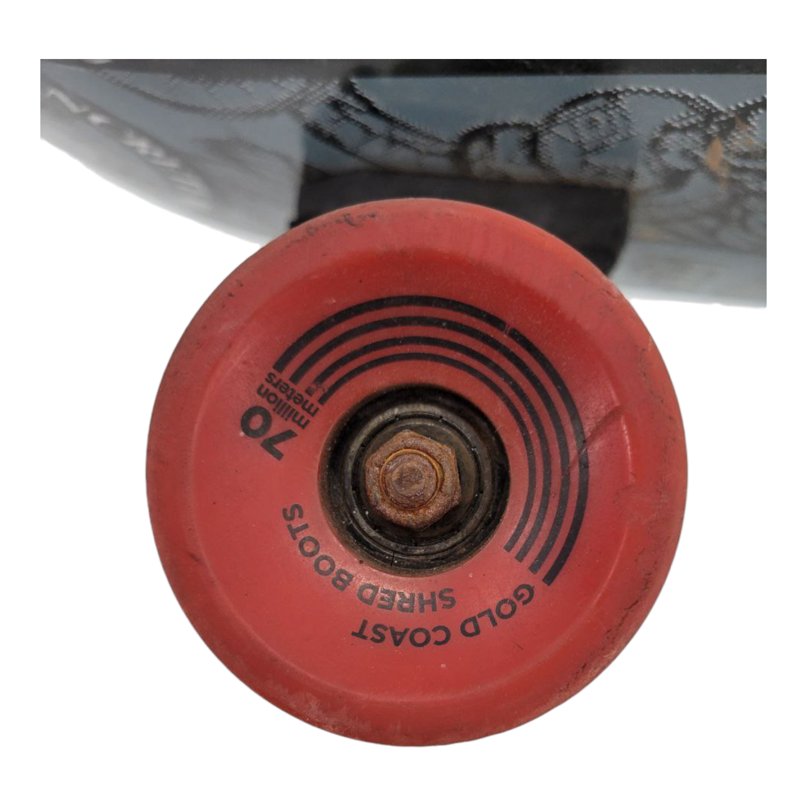 GoldCoast Concrete Wave Vans Warped Tour Edition Longboard Skateboard 33"