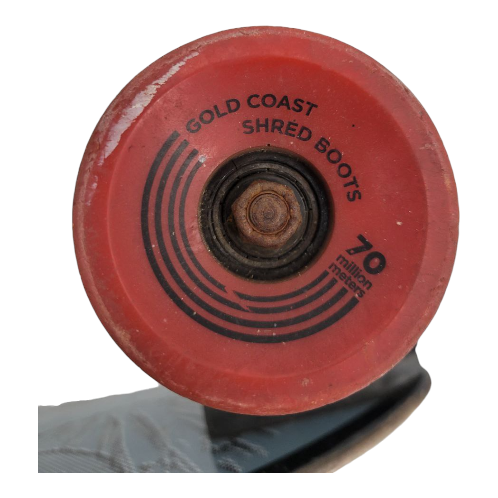 GoldCoast Concrete Wave Vans Warped Tour Edition Longboard Skateboard 33"