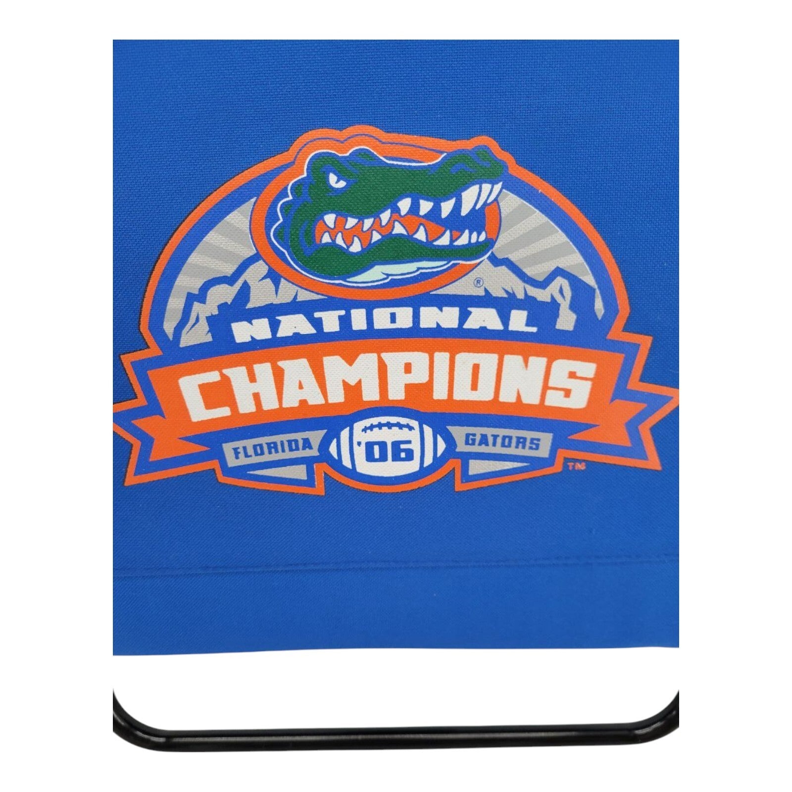 Florida Gators National Champions Stadium Seat Cushion Chair Blue 2006