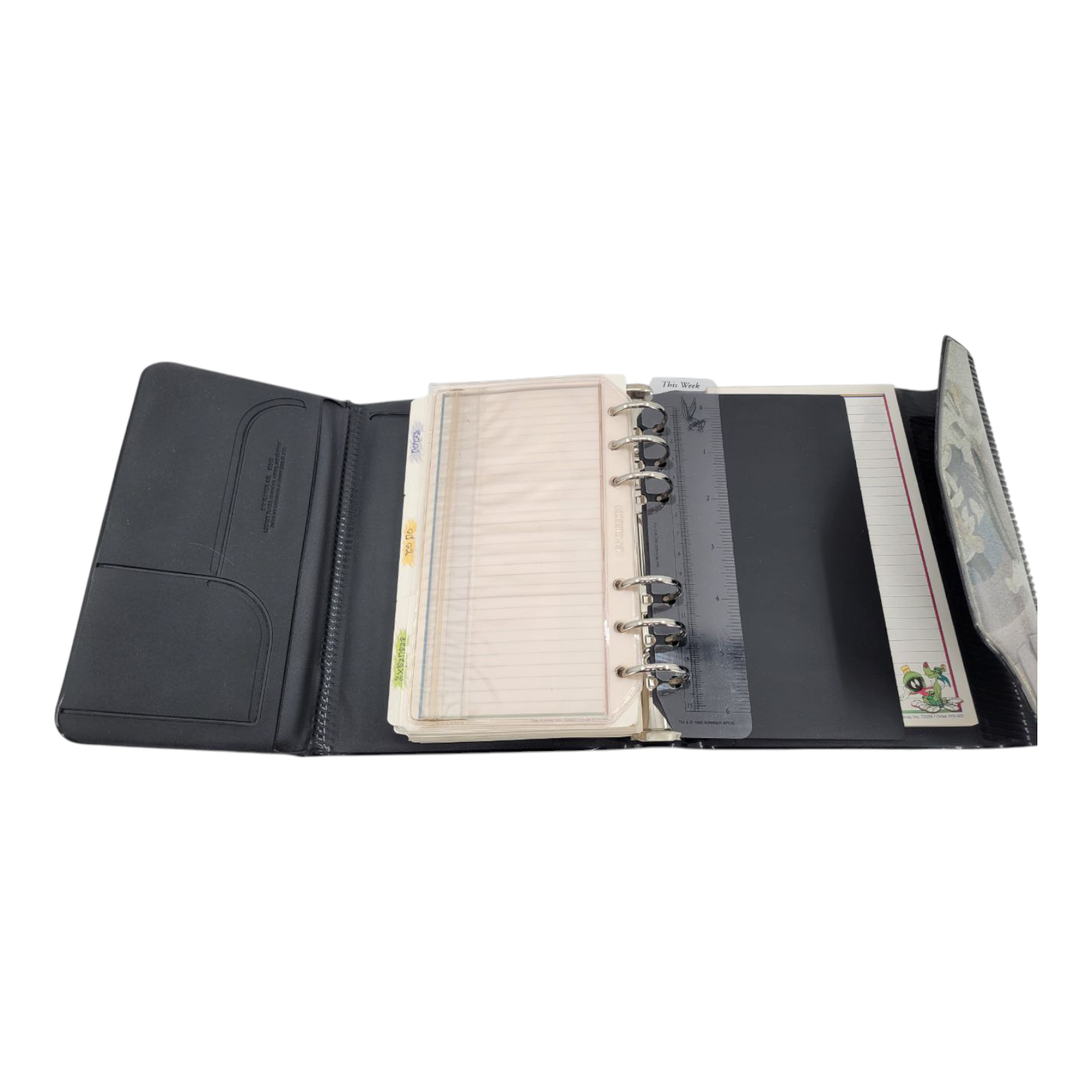 Day Runner Organizer Planner 1995 Warner Bros Looney Tunes Theme