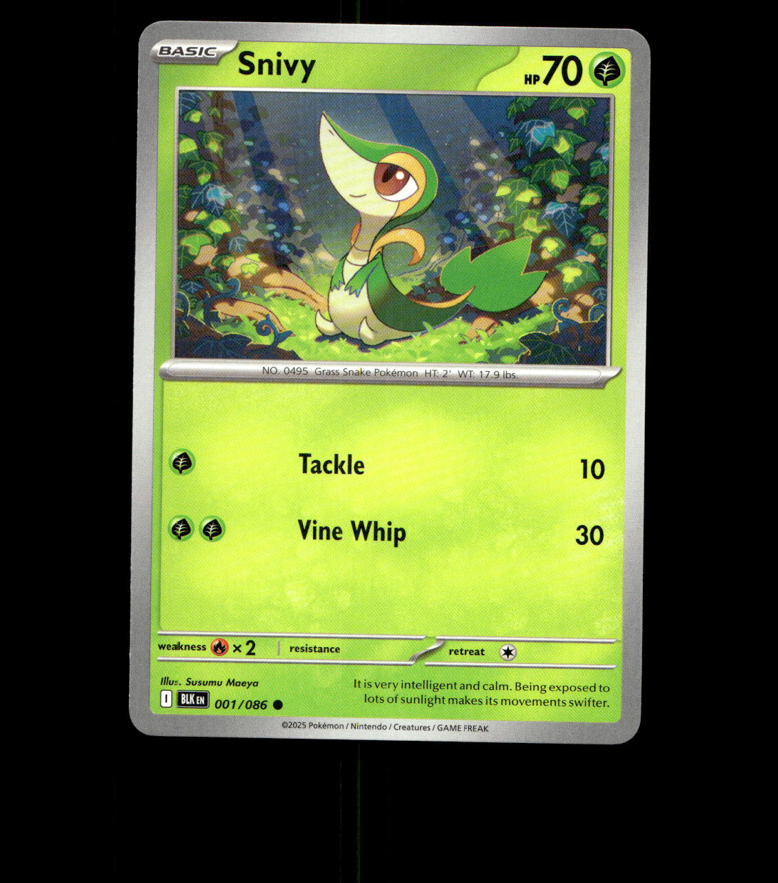Snivy – 001/086 – Black Bolt – Normal – Near Mint
