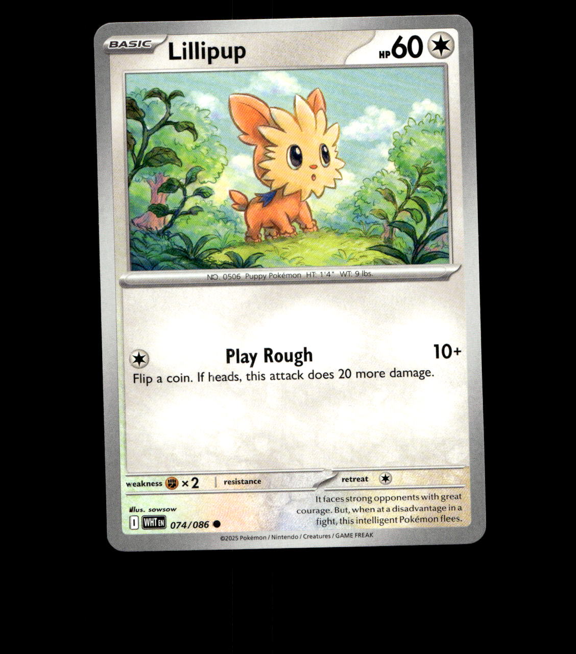 Lillipup – 074/086 – White Flare – Non Holo – Near Mint - Pokemon Card - TCG