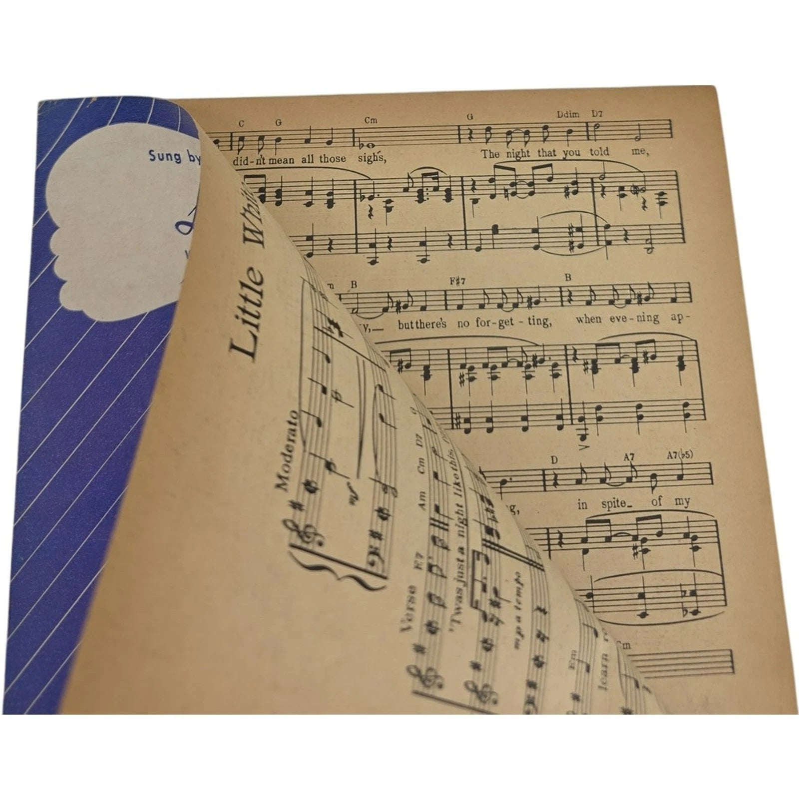 Vintage 1930 Sheet Music Little White Lies Walter Donaldson