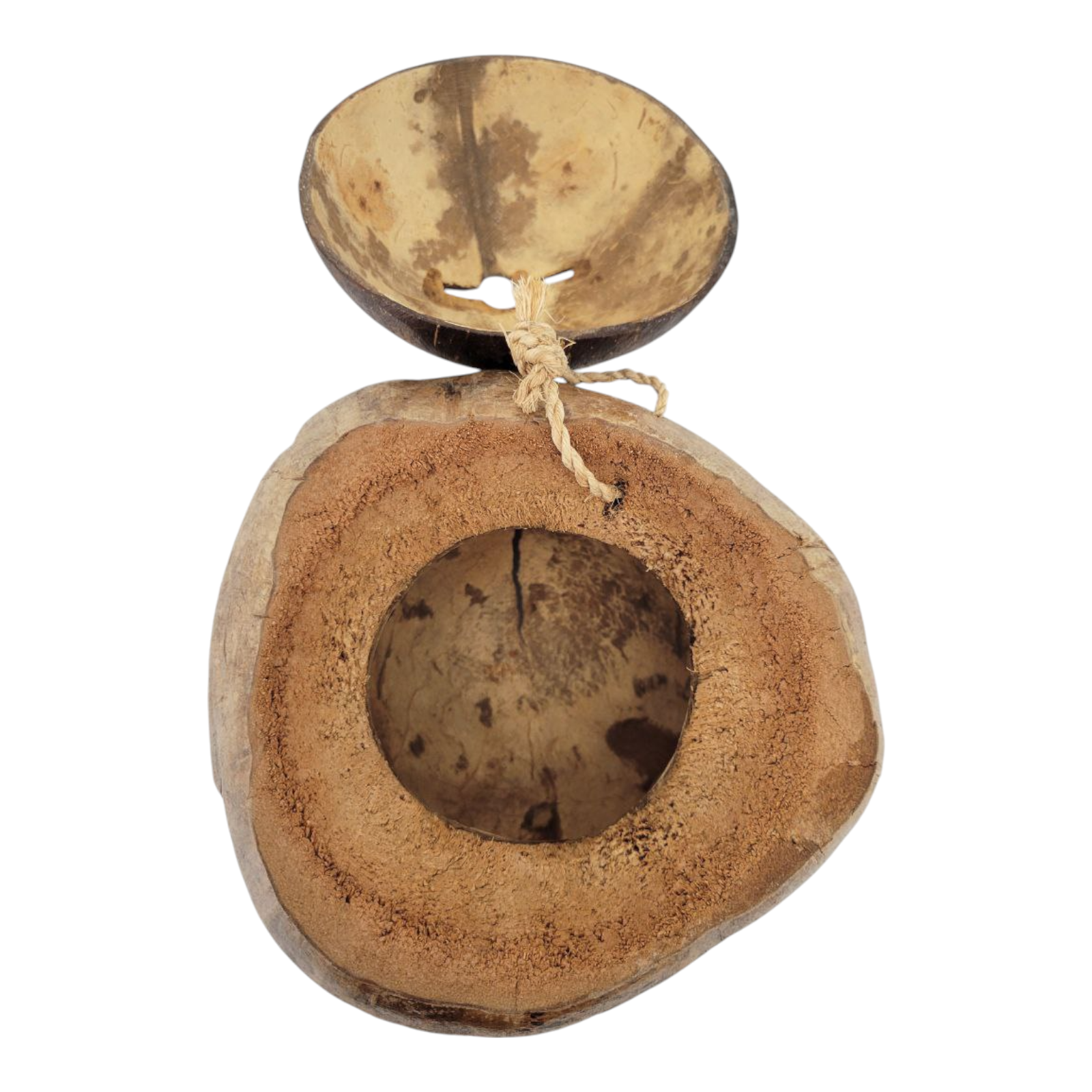 Vintage Hand Carved Coconut Shell Souvenir Pirate Coin Bank