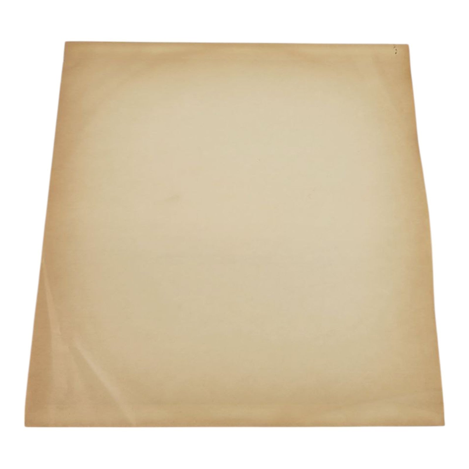 Del Wood Rousing Ragtime Vinyl LP 98062 Ambassador Records