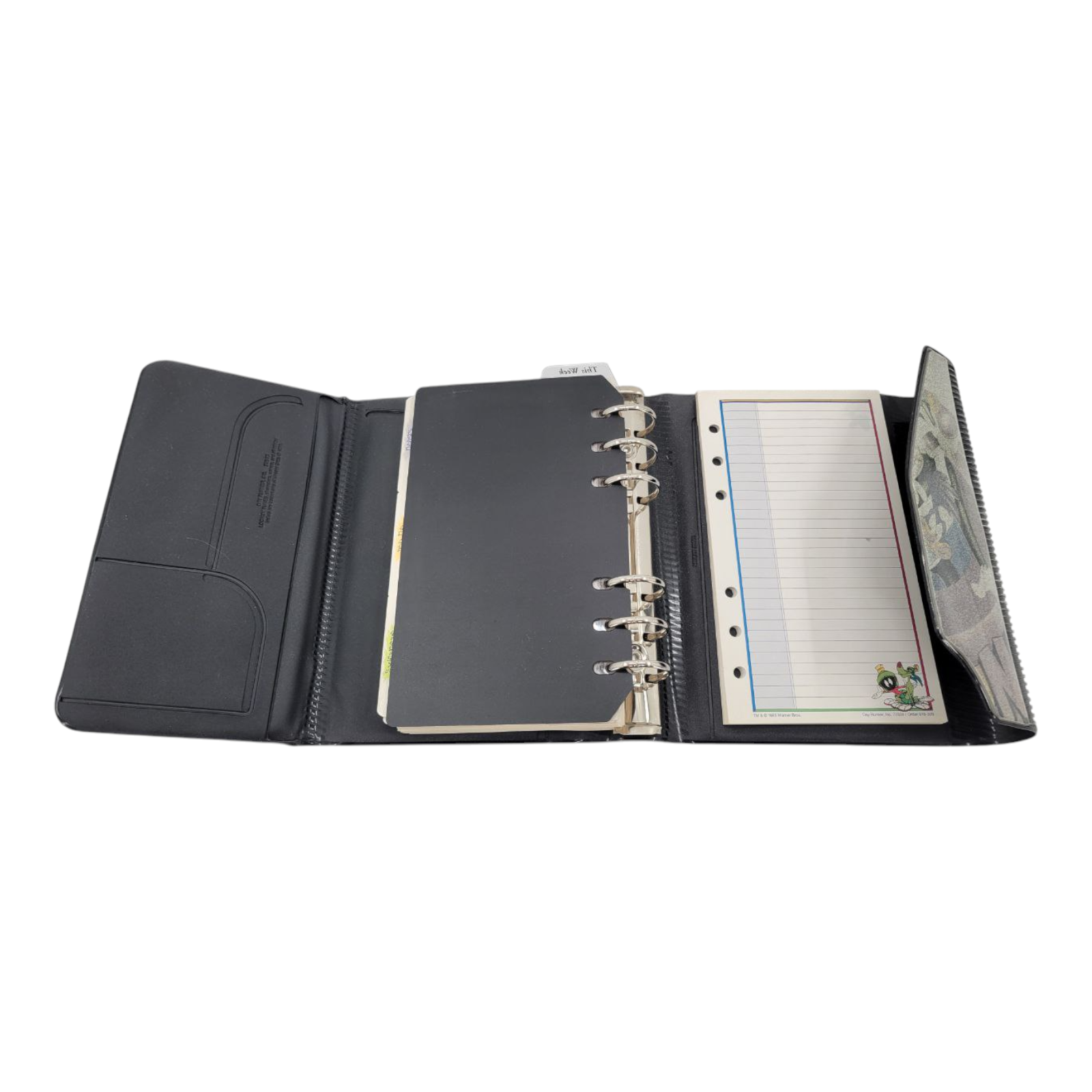 Day Runner Organizer Planner 1995 Warner Bros Looney Tunes Theme