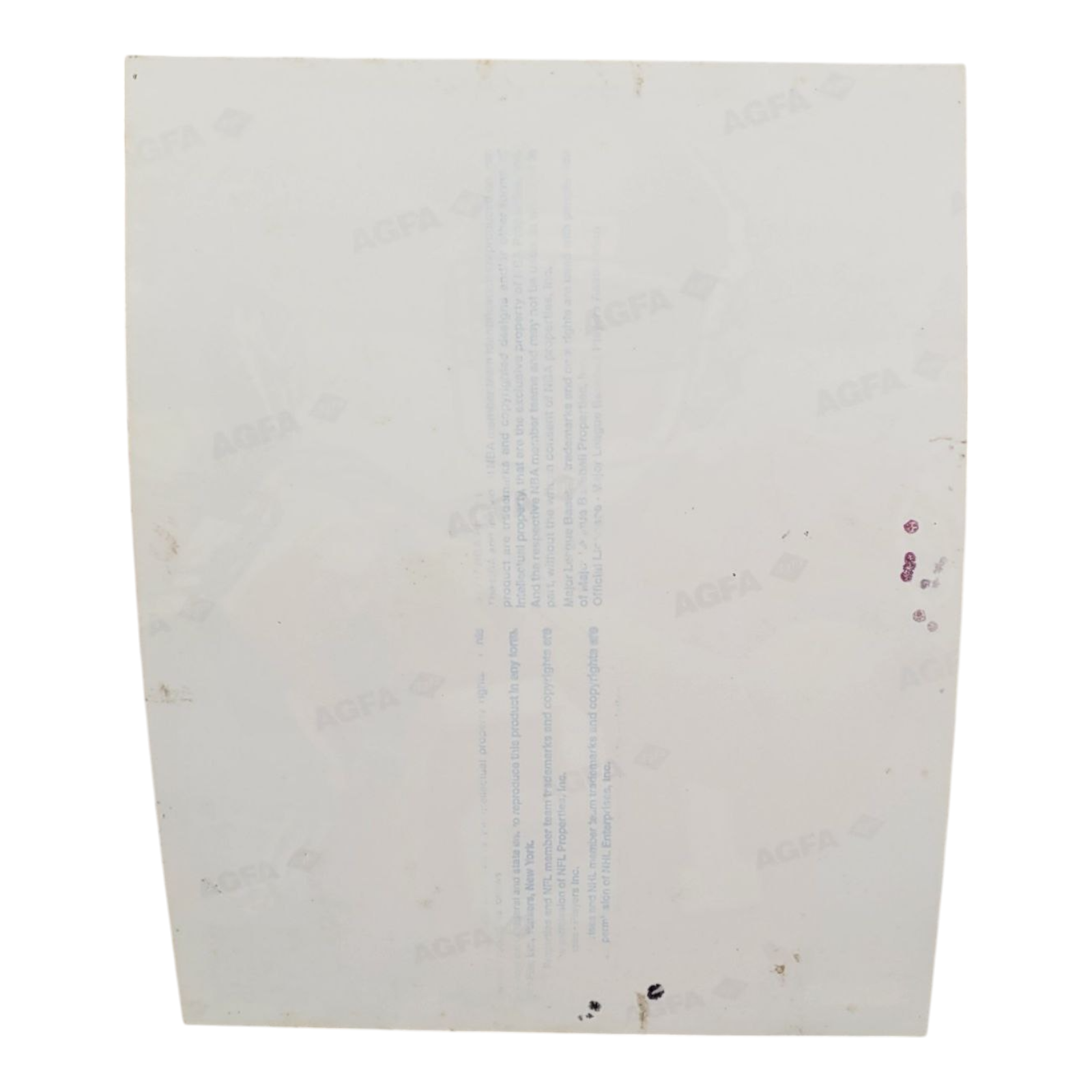 NFL Tampa Bay Buccaneers Football #15 Jacquez Green Photo