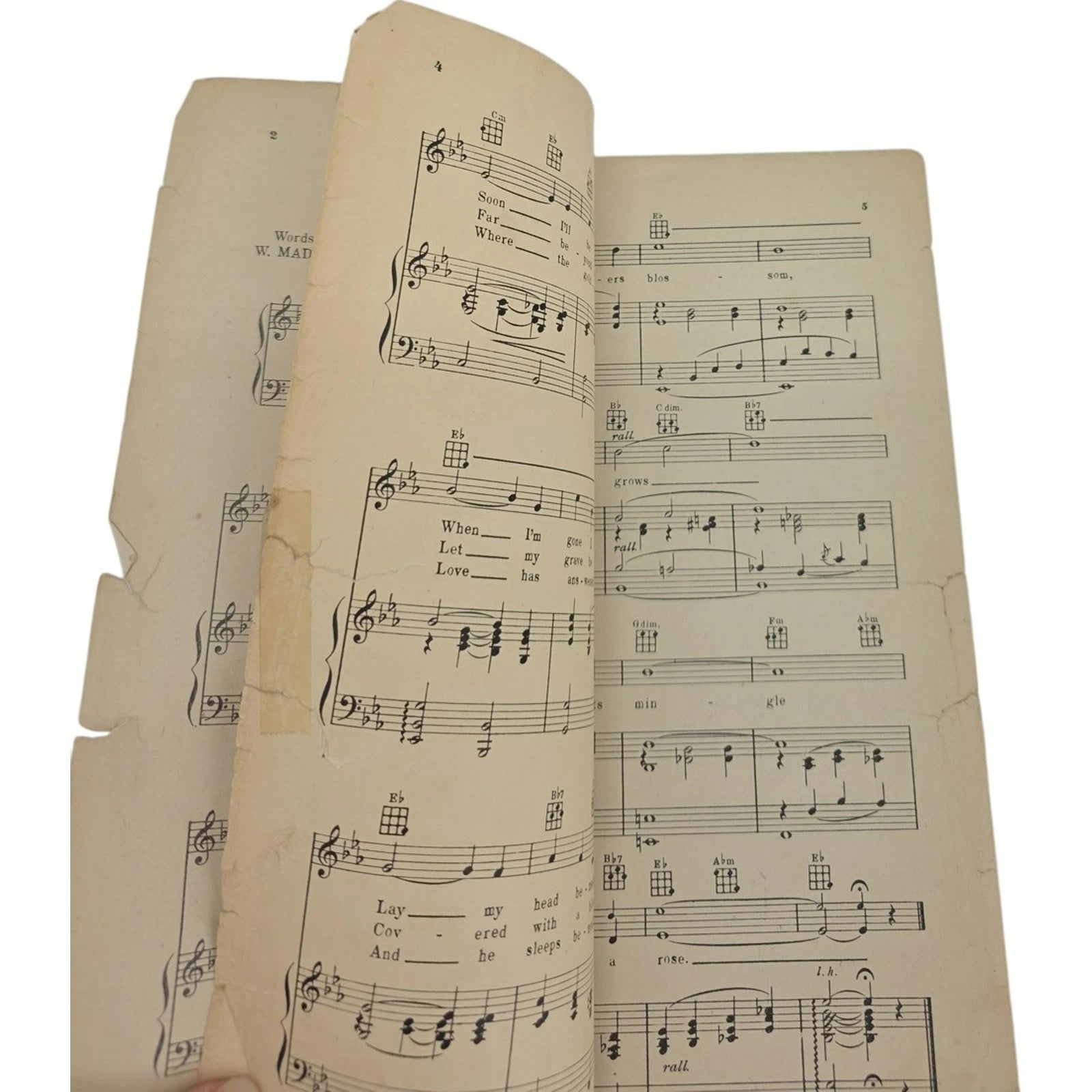 Vintage 1926 Sheet Music Lay My Head Beneath a Rose by W. Madison & Falkenstein