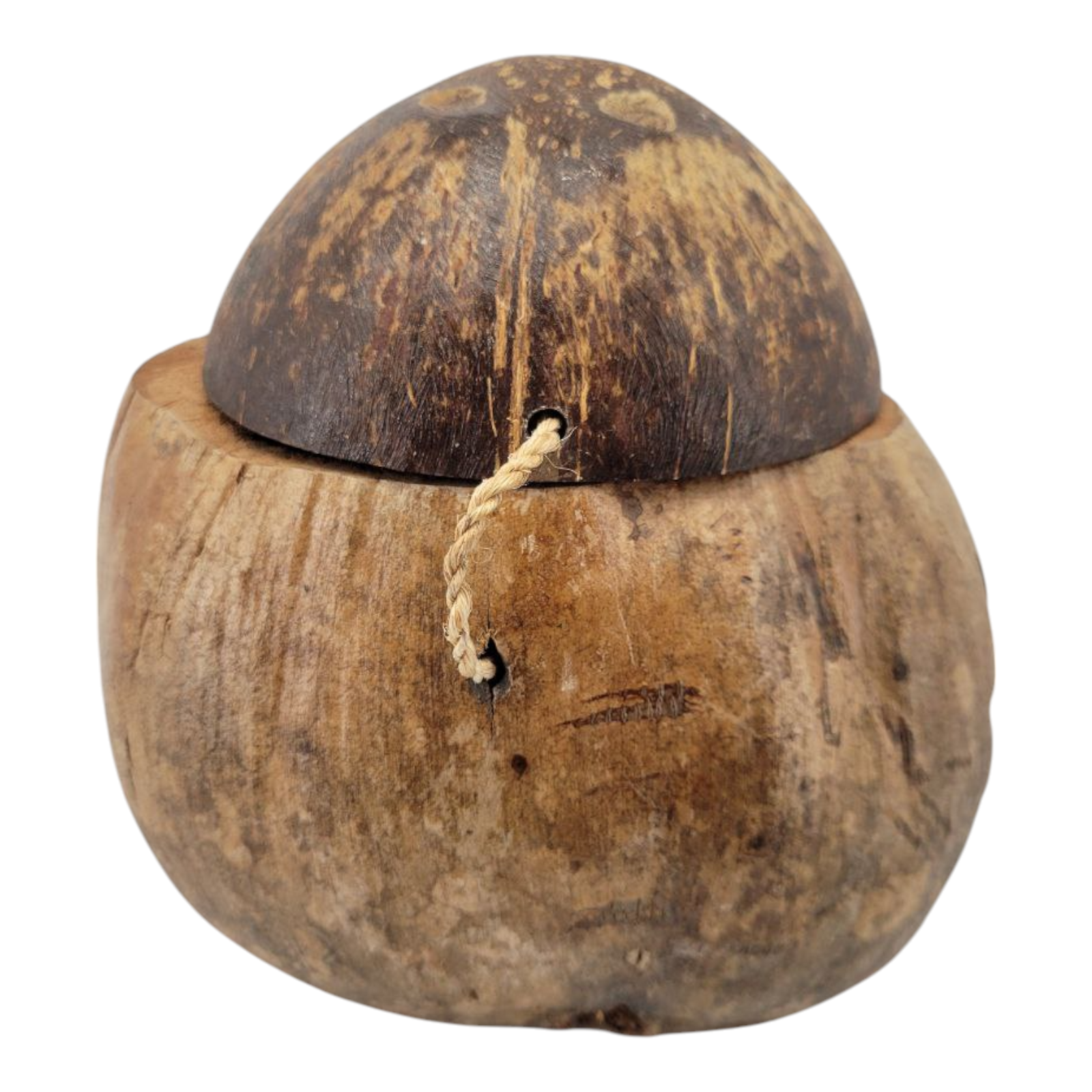 Vintage Hand Carved Coconut Shell Souvenir Pirate Coin Bank