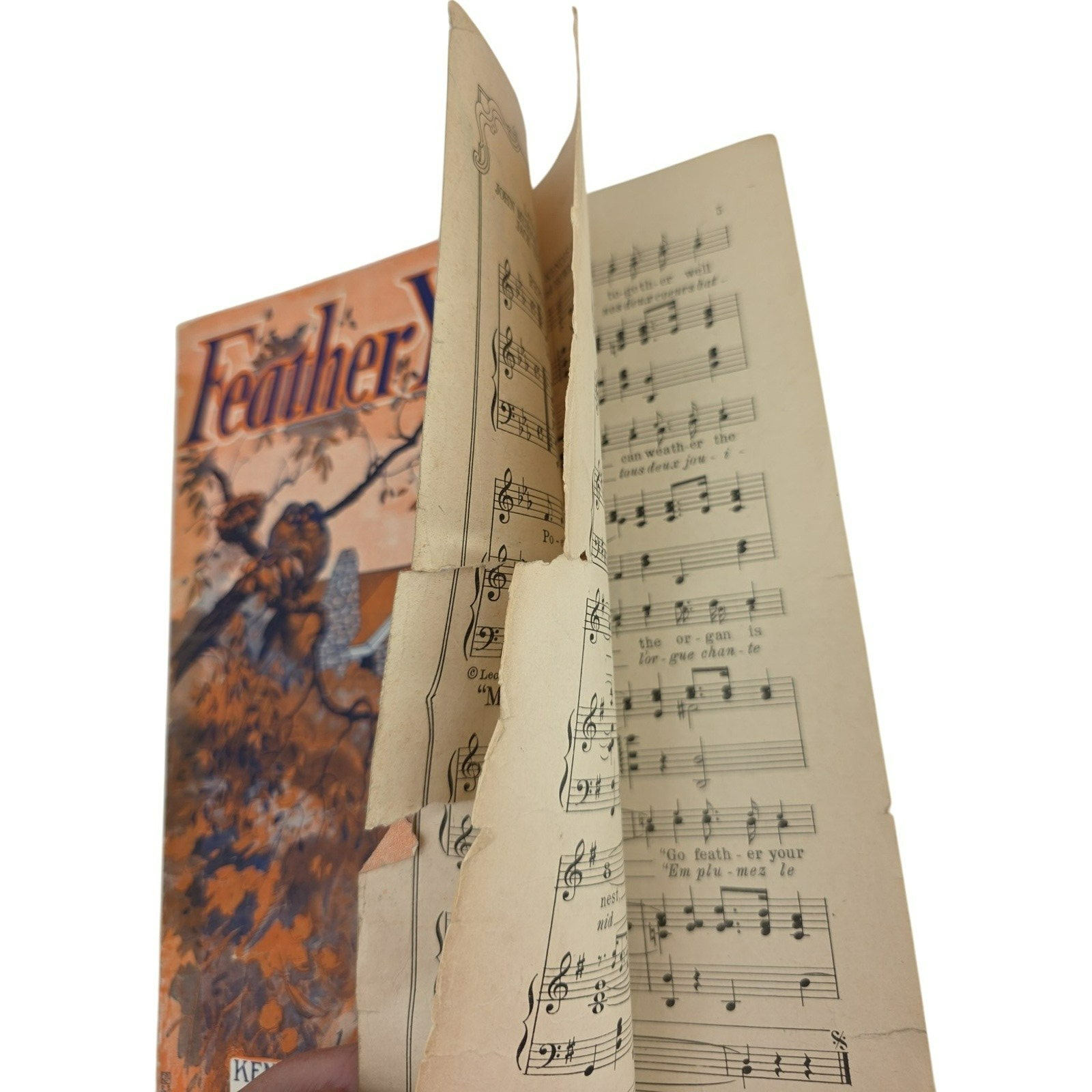 Vintage 1920 Feather Your Nest Kendis Brockman and Howard Johnson Sheet Music