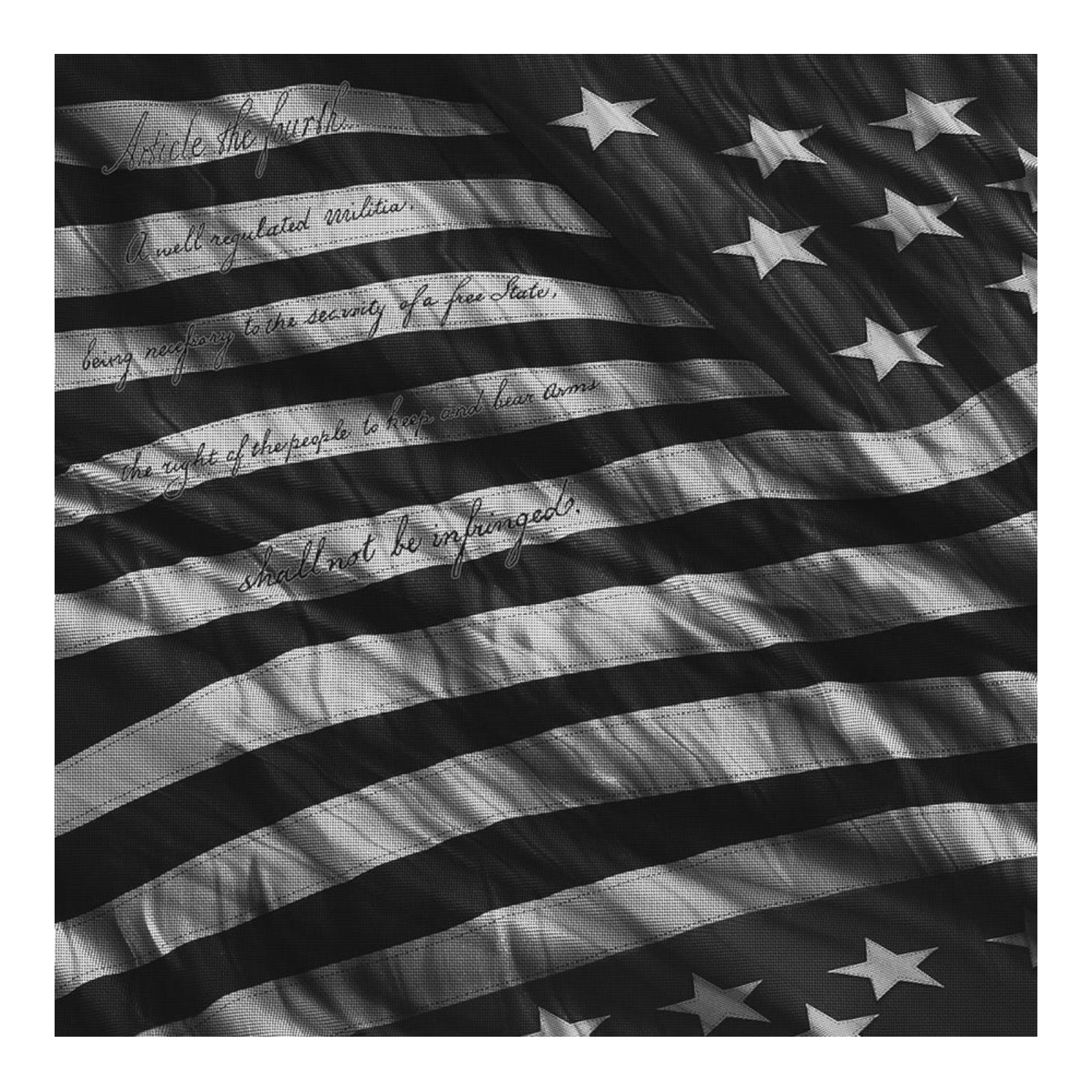 ParSkins Driver Skin - Patriotic Proveil Victory Grey