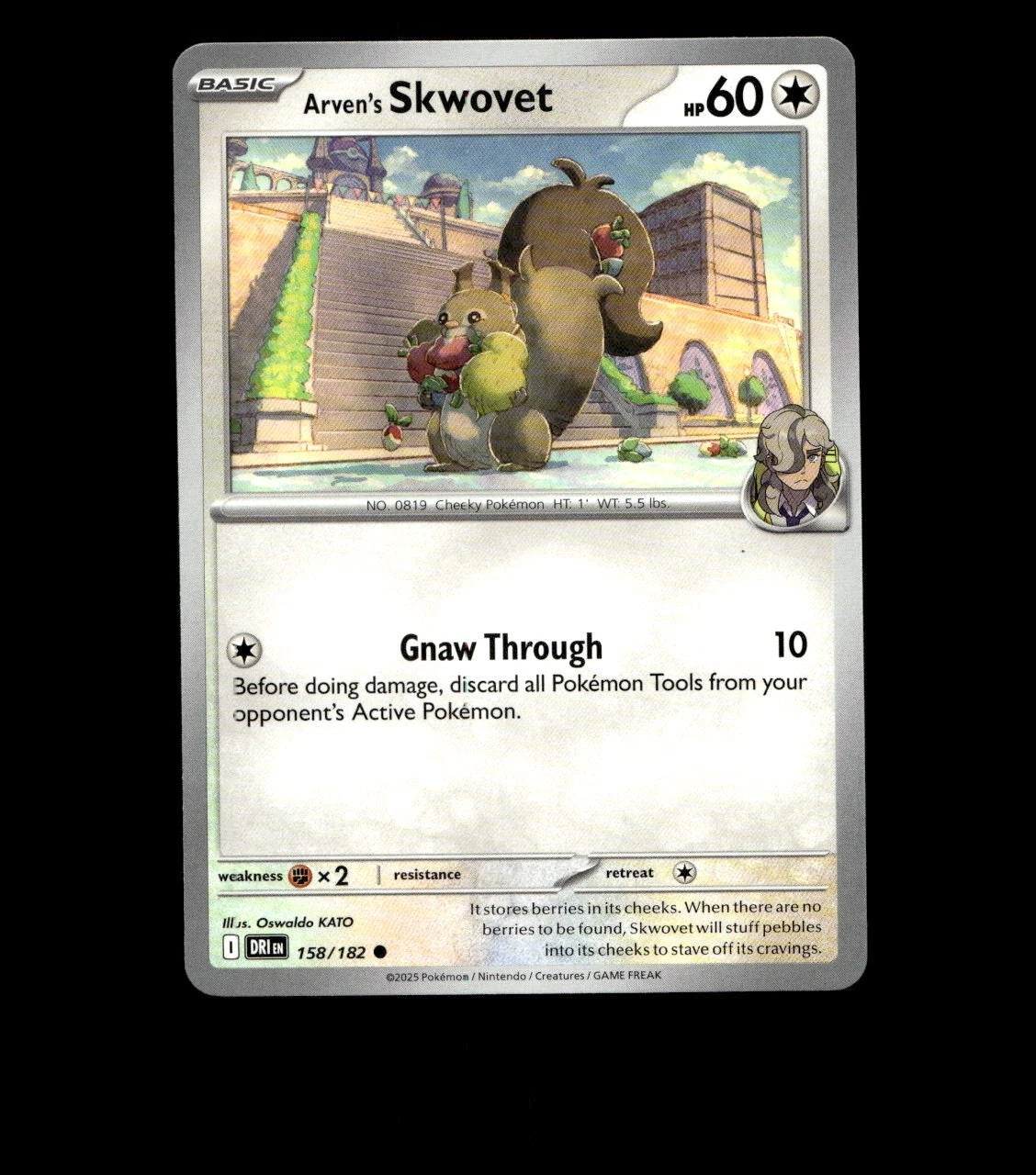 Arven’s Skwovet – 158/182 – Destined Rivals – Non Holo Near Mint Pokemon TCG