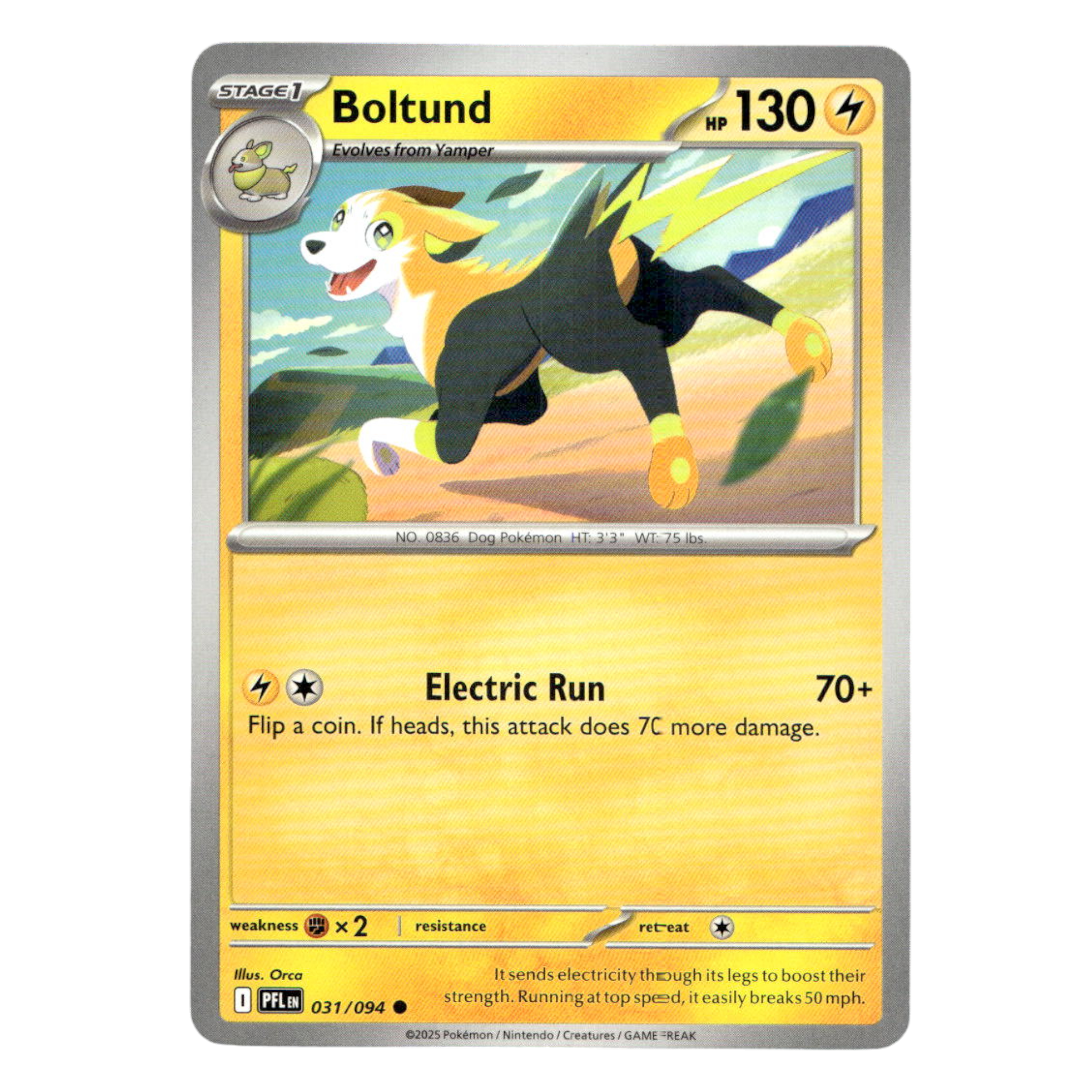 Boltund – 031/094