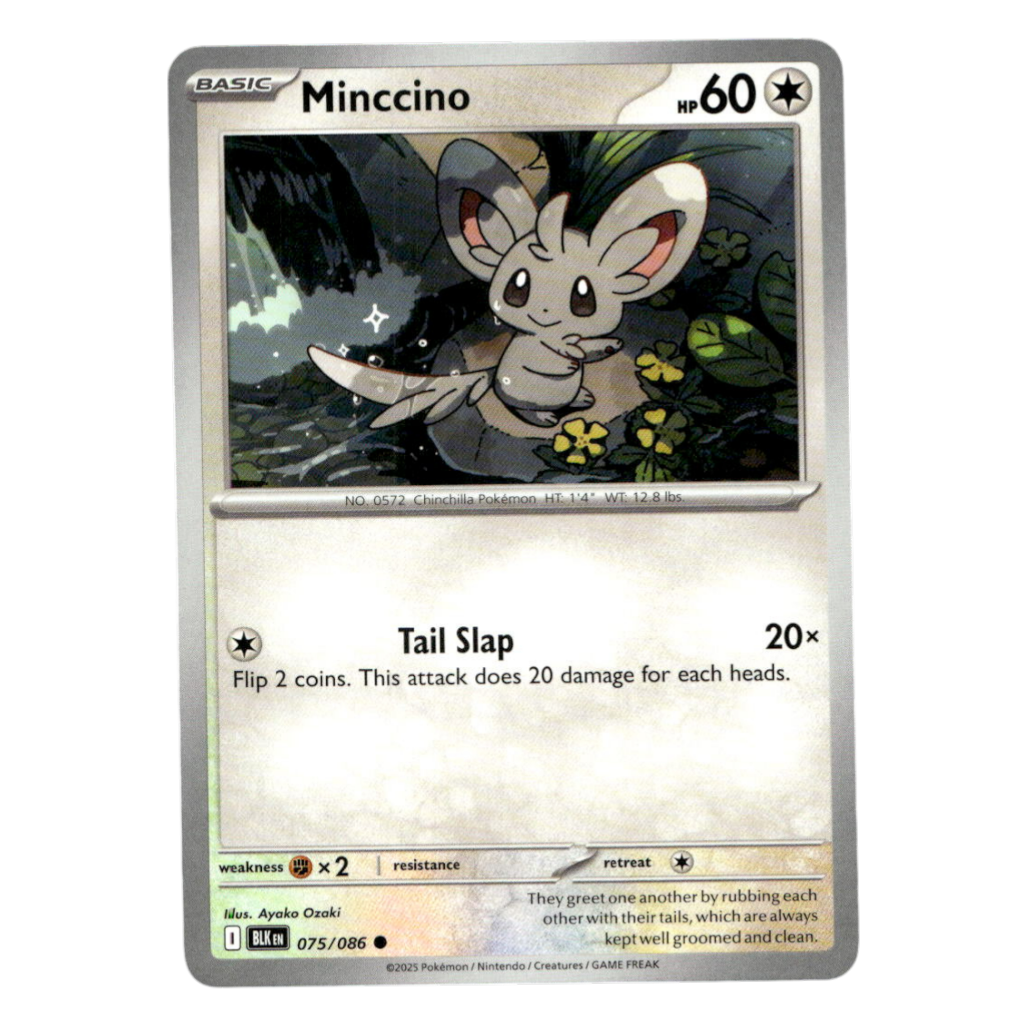 Minccino – 075/086