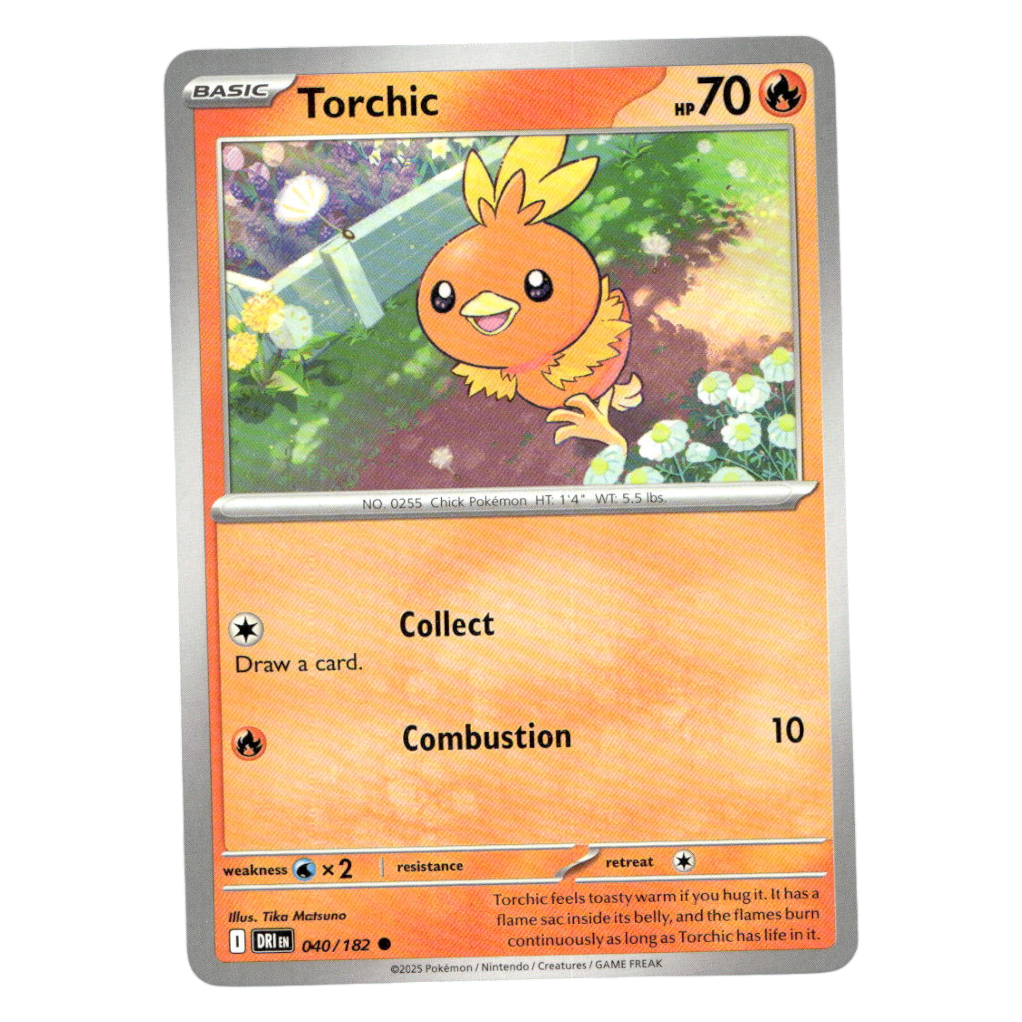 Torchic – 040/182