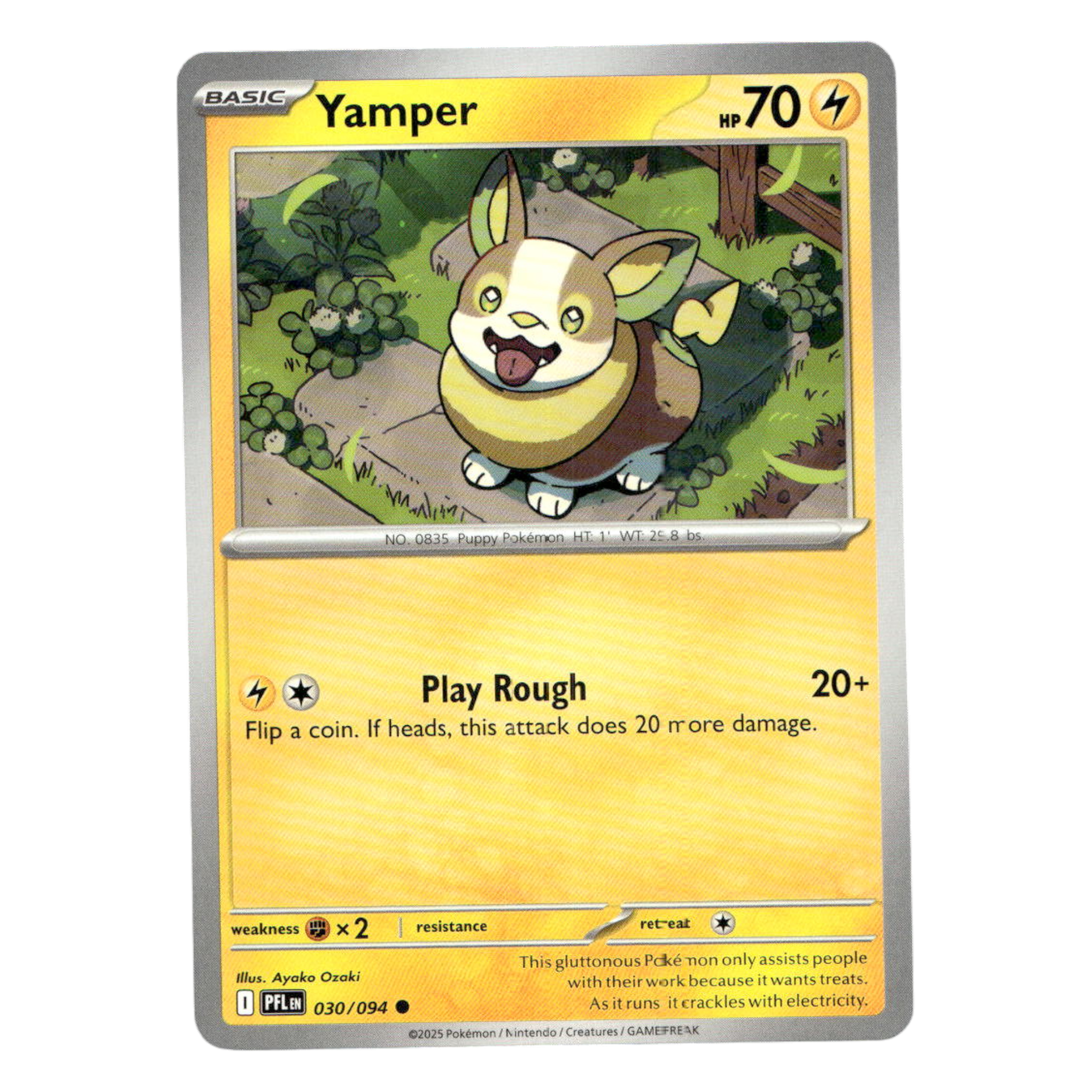 Yamper – 030/094
