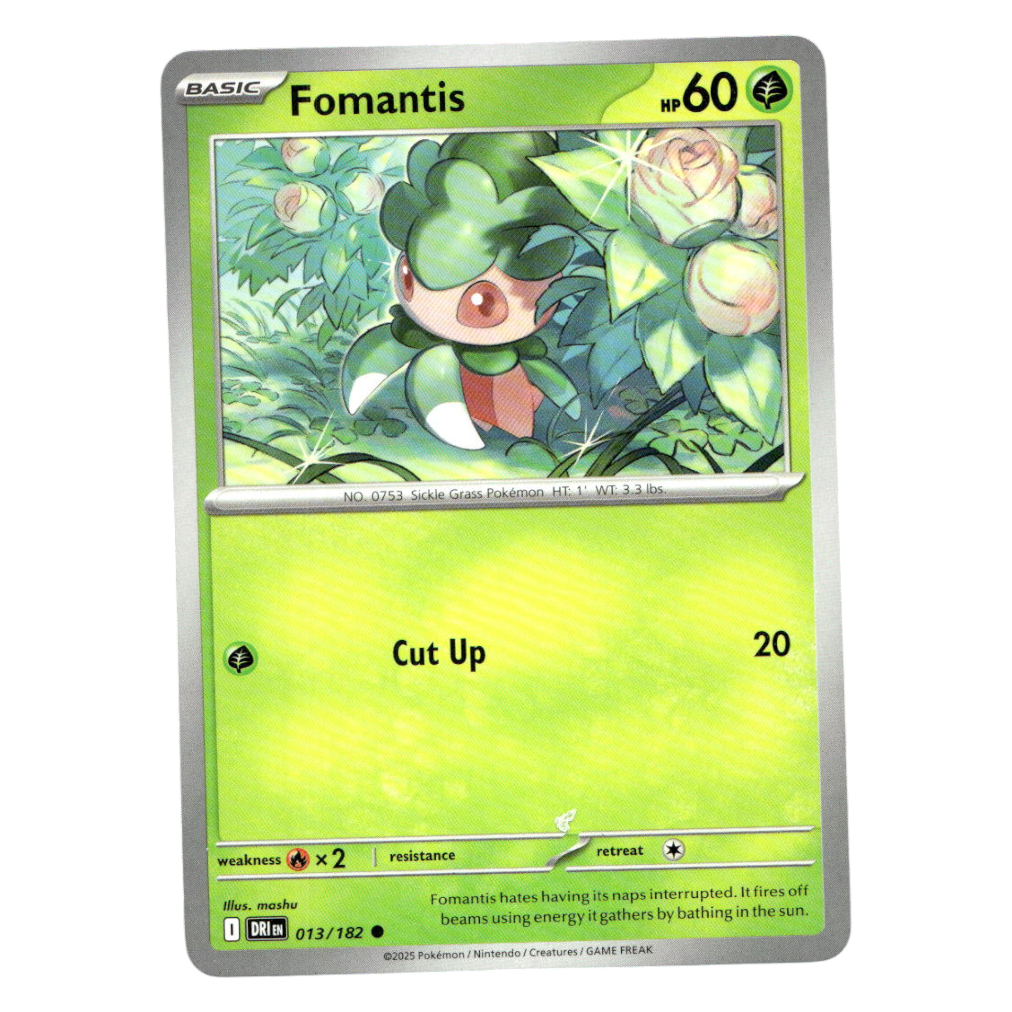 Fomantis – 013/182