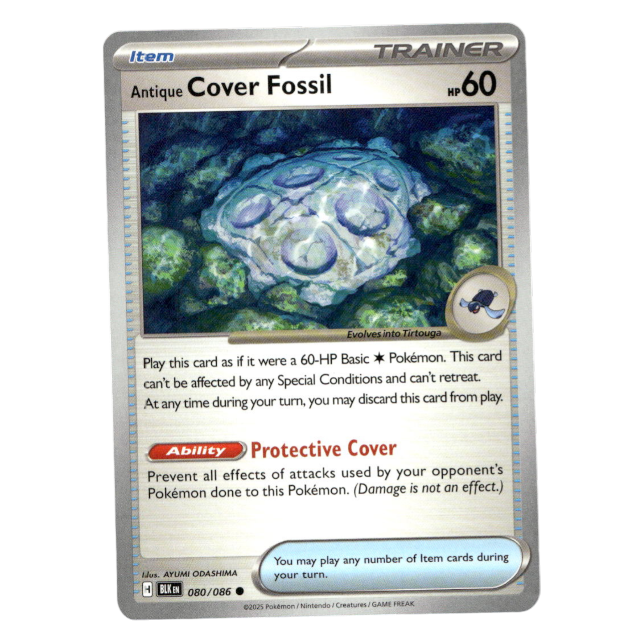 Antique Cover Fossil – 080/086