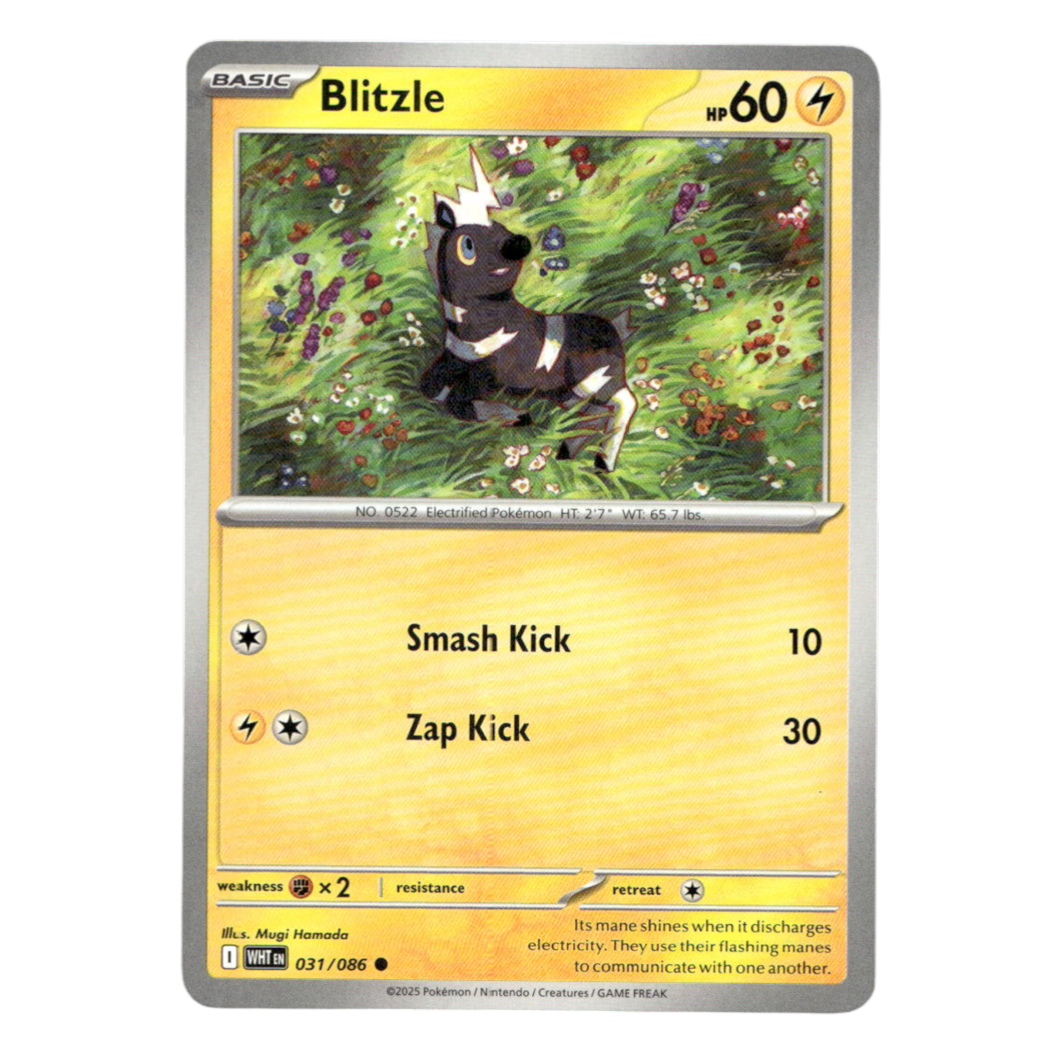 Blitzle – 031/086
