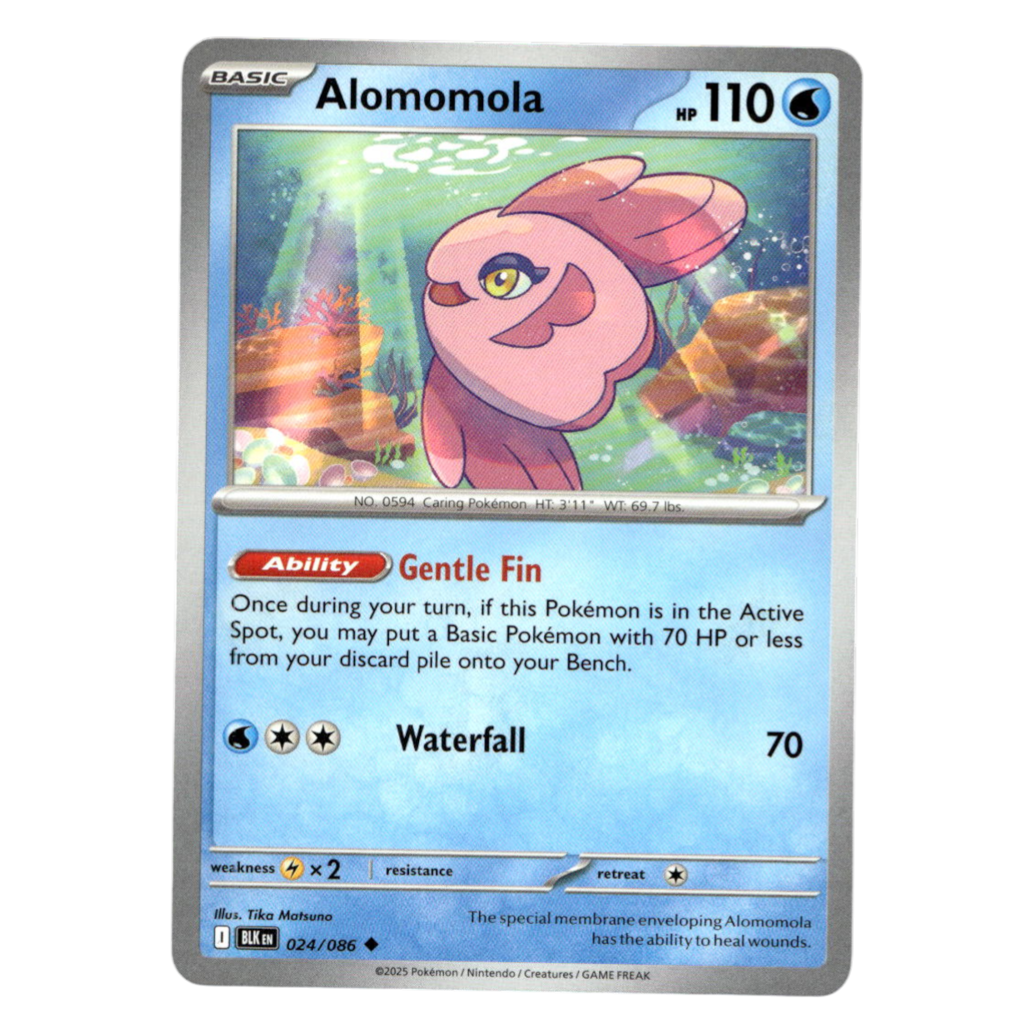 Alomomola – 024/086