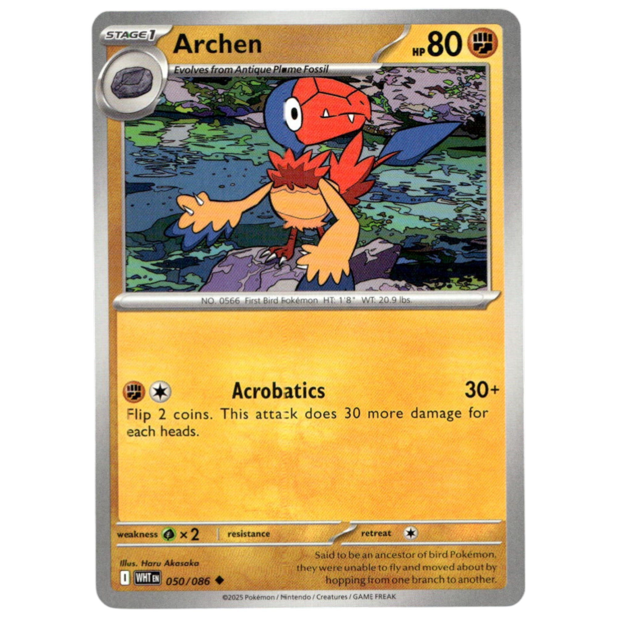 Archen - 050/086