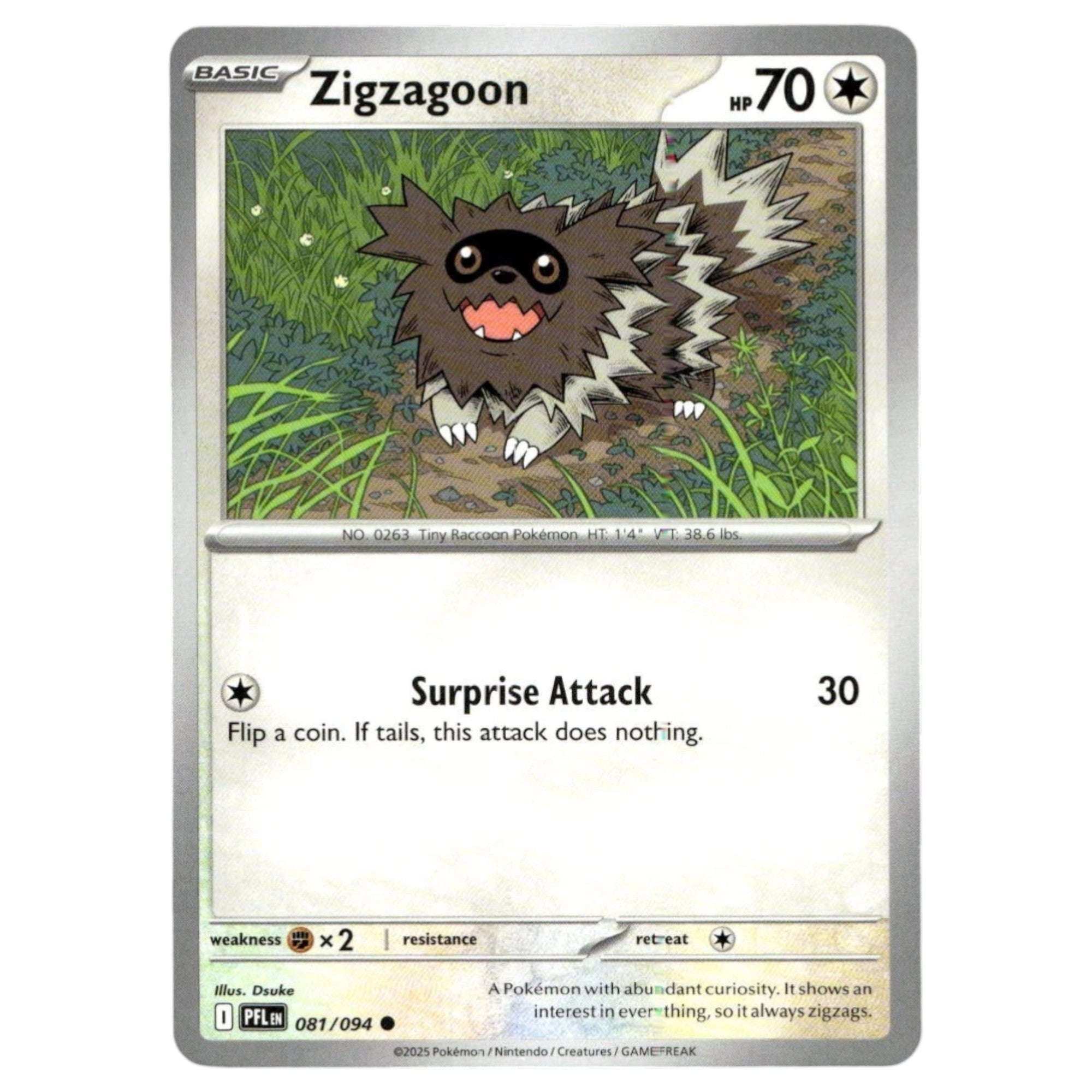 Zigzagoon – 081/094