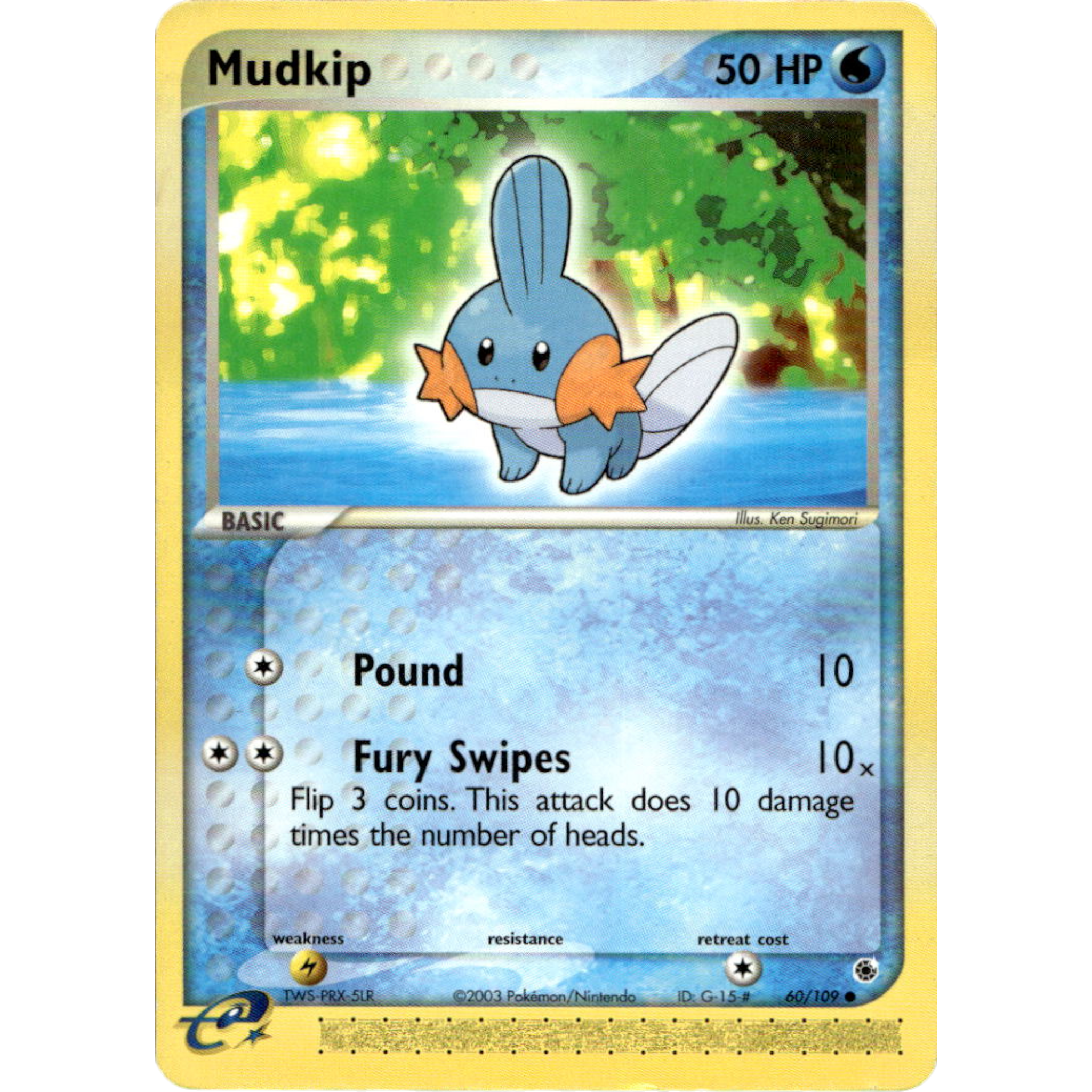 Mudkip 60/109