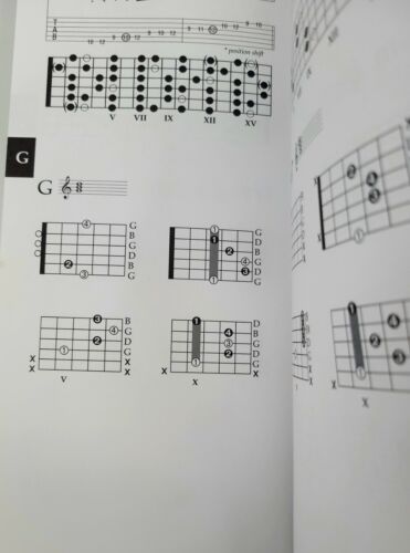 Vtg The Gig Bag Book of Guitar Complete by Mark Bridges (2001, Trade Paperback)