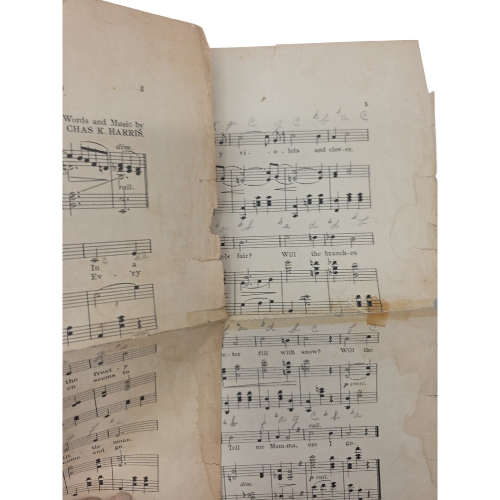 1911 Will the Roses Bloom in Heaven Vintage Sheet Music by Chas. K. Harris