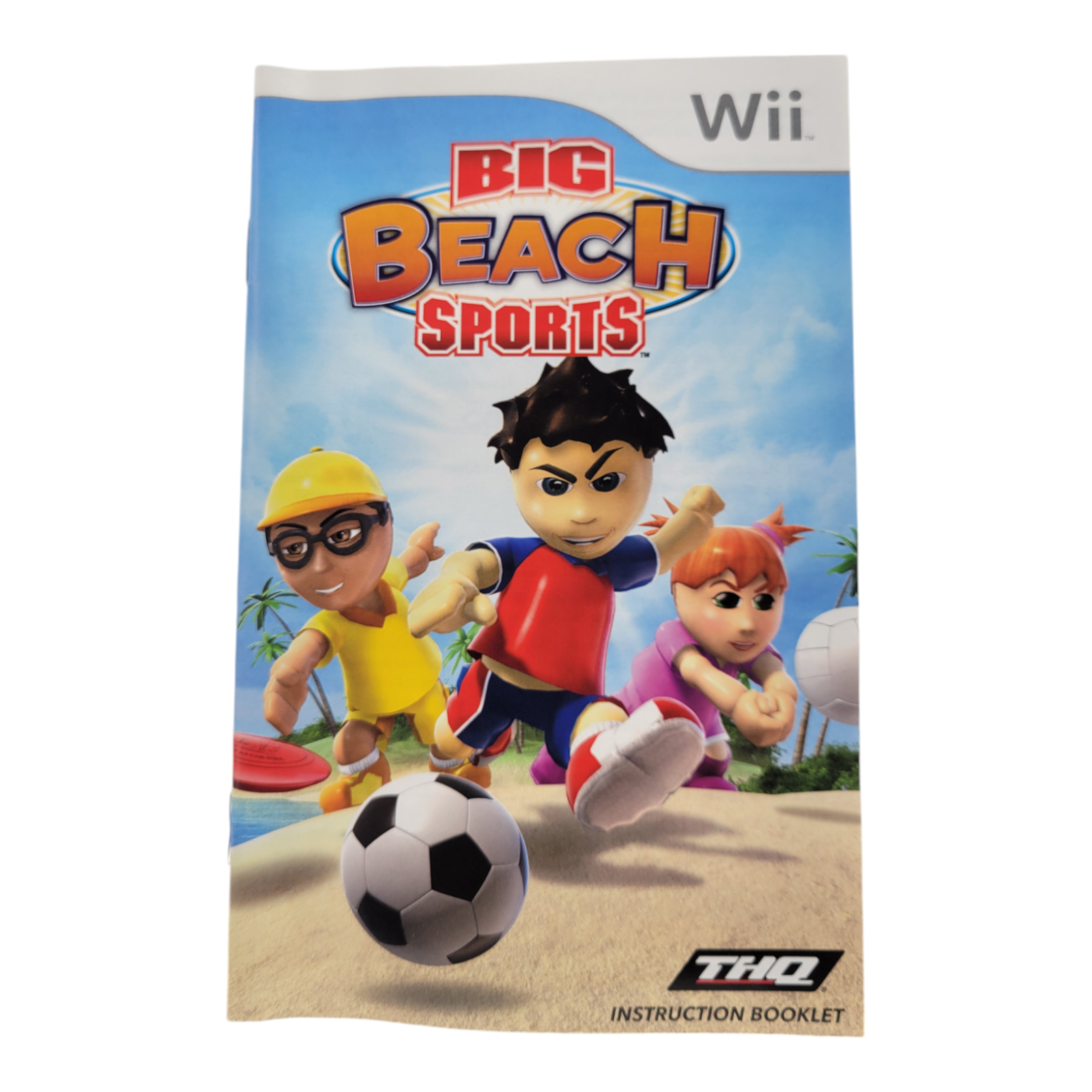 Nintendo Wii Big Beach Sports Game THQ 2008 Complete with Case and Manual