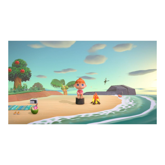 Animal Crossing New Horizons - Nintendo Switch