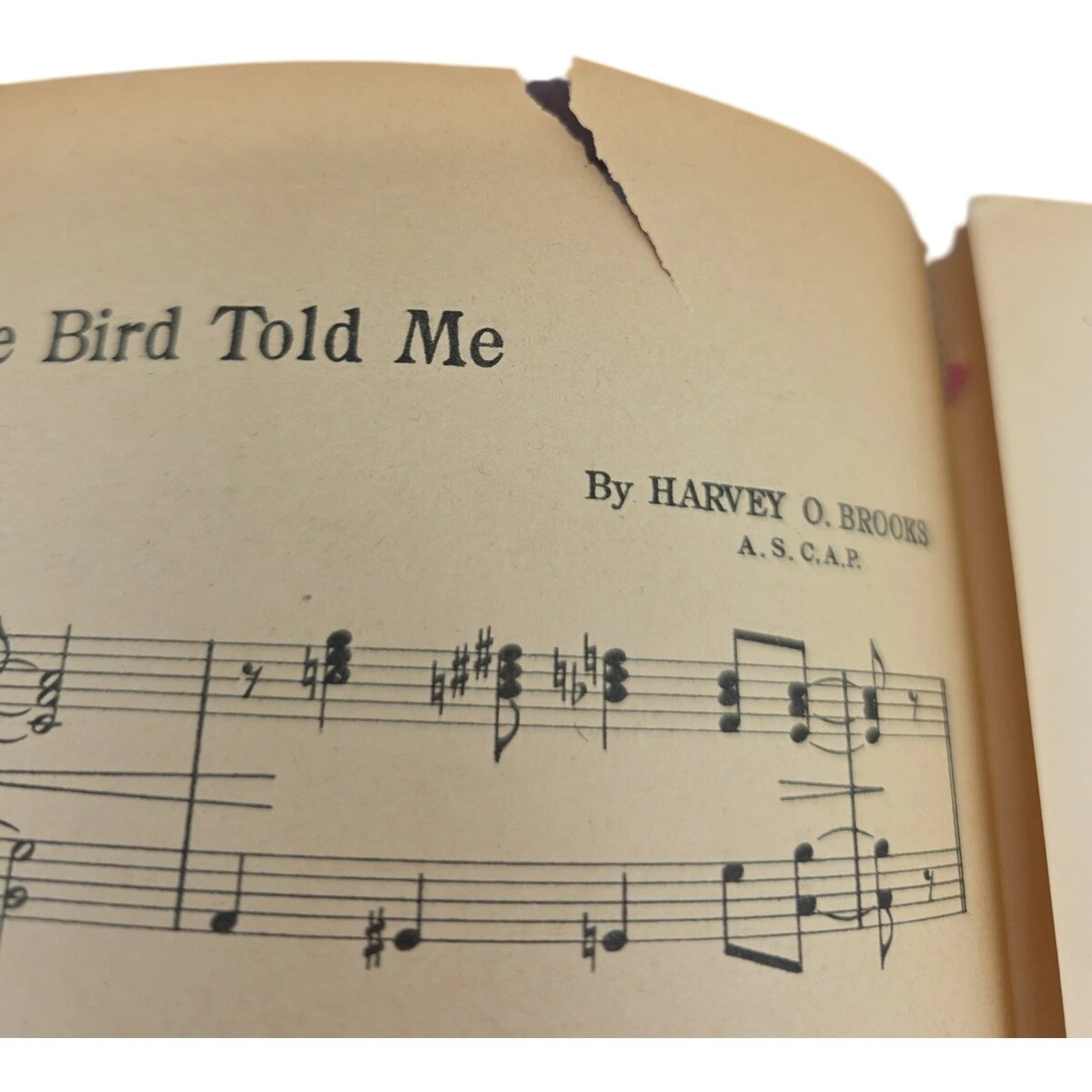 Vintage 1948 Sheet Music A Little Bird Told Me by Harvey Q. Brooks