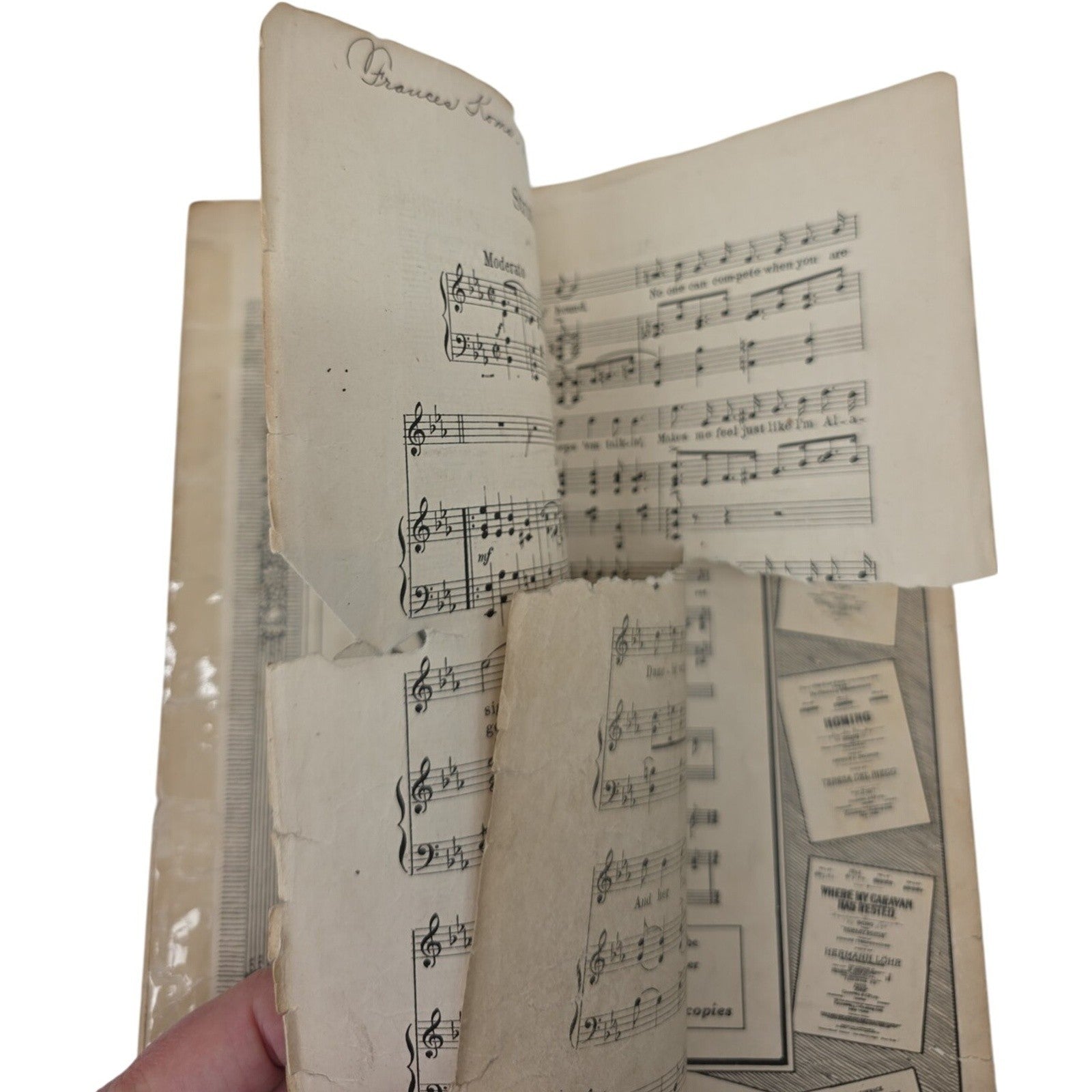 1922 Struttin’ at the Strutter’s Ball Vintage Sheet Music by Spencer Williams