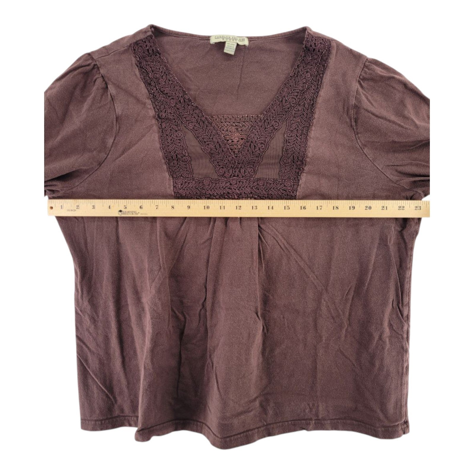 Carolyn Taylor Brown Embroidered Yoke Top Women's Plus Size 20-22W