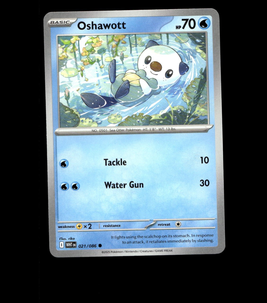 Oshawott - 021/086 - White Flare - Near Mint Non Holo