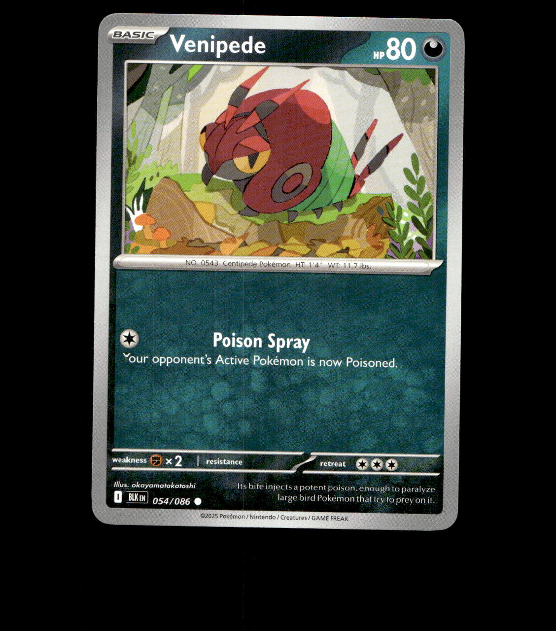 Venipede – 054/086 – Black Bolt – Near Mint