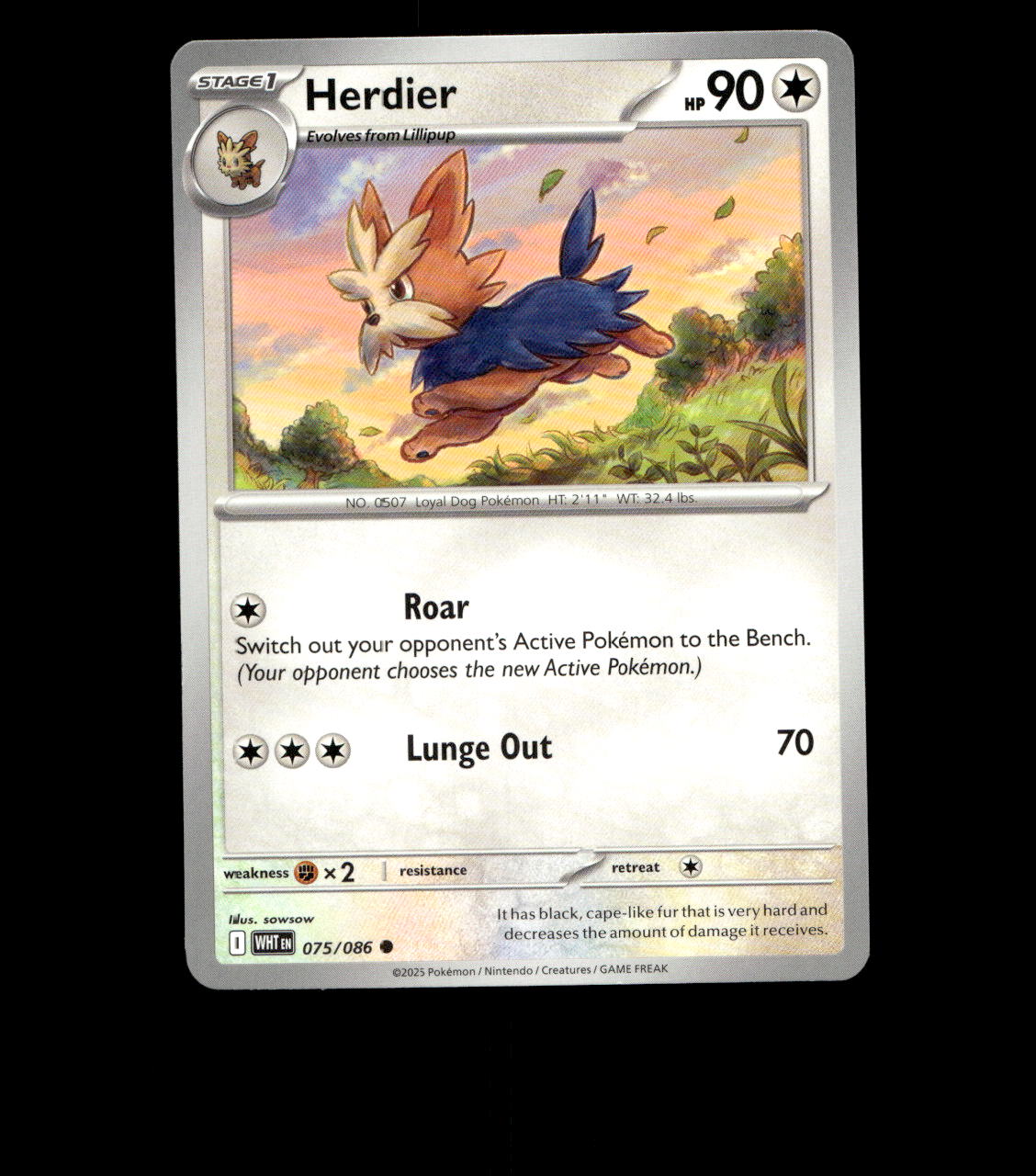 Herdier - 075/086 - White Flare - Near Mint Non Holo