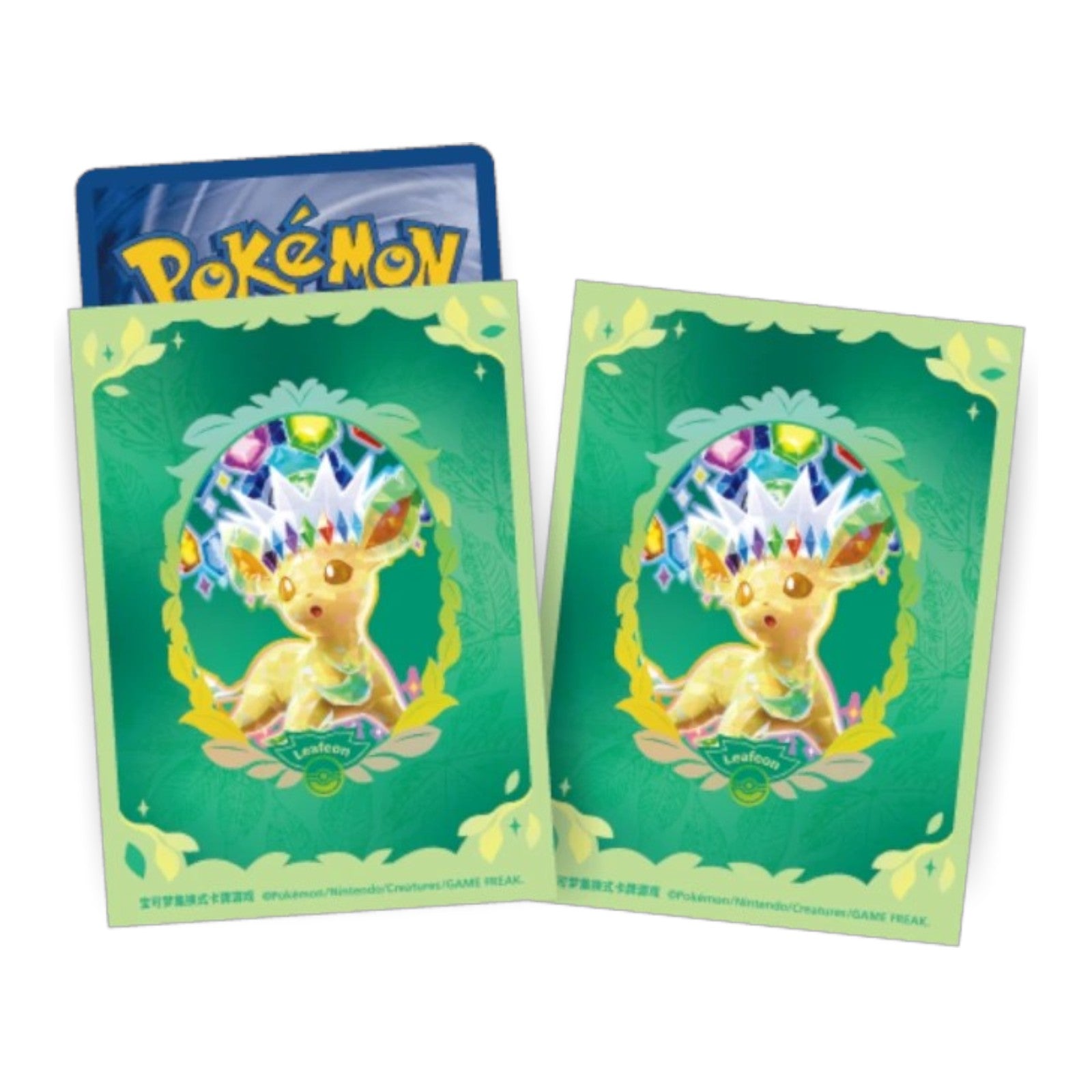 Pokemon TCG Chinese Terastal Gathering Leafeon Binder Set