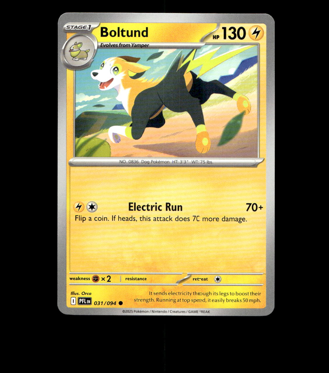 Boltund - 031/094 - Phantasmal Flames - Near Mint