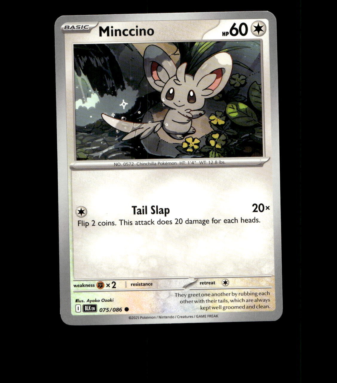 Minccino – 075/086 – Black Bolt – Normal – Near Mint