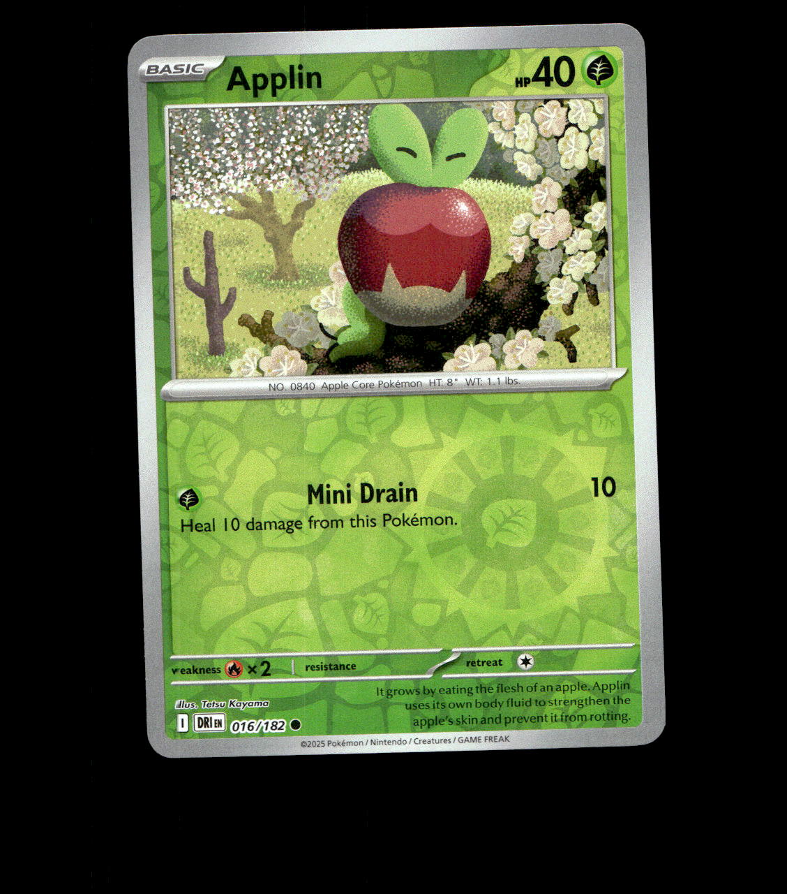 Applin – 016/182 – Destined Rivals – Reverse Holo – Near Mint