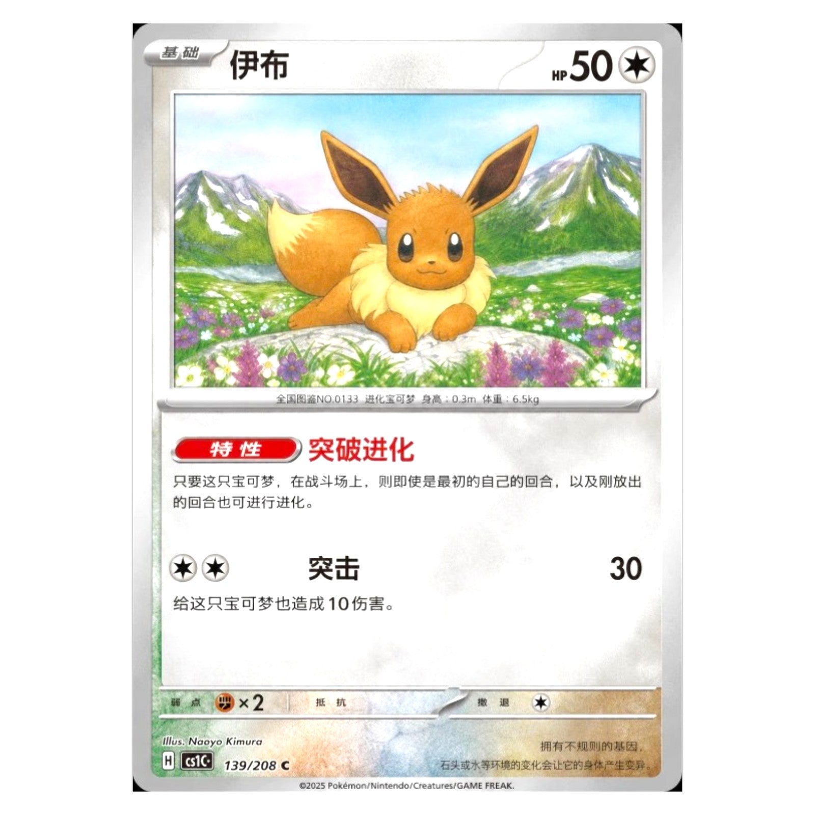 Pokemon TCG Chinese Terastal Gathering Coin Set Eevee