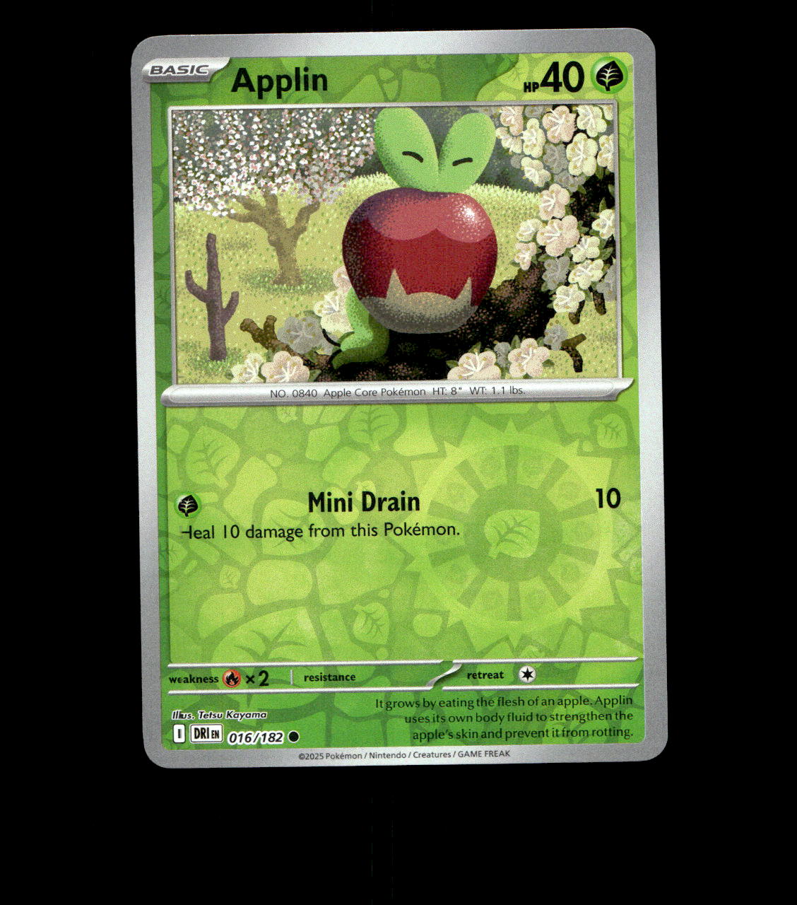 Applin – 016/182 – Destined Rivals – Reverse Holo – Near Mint